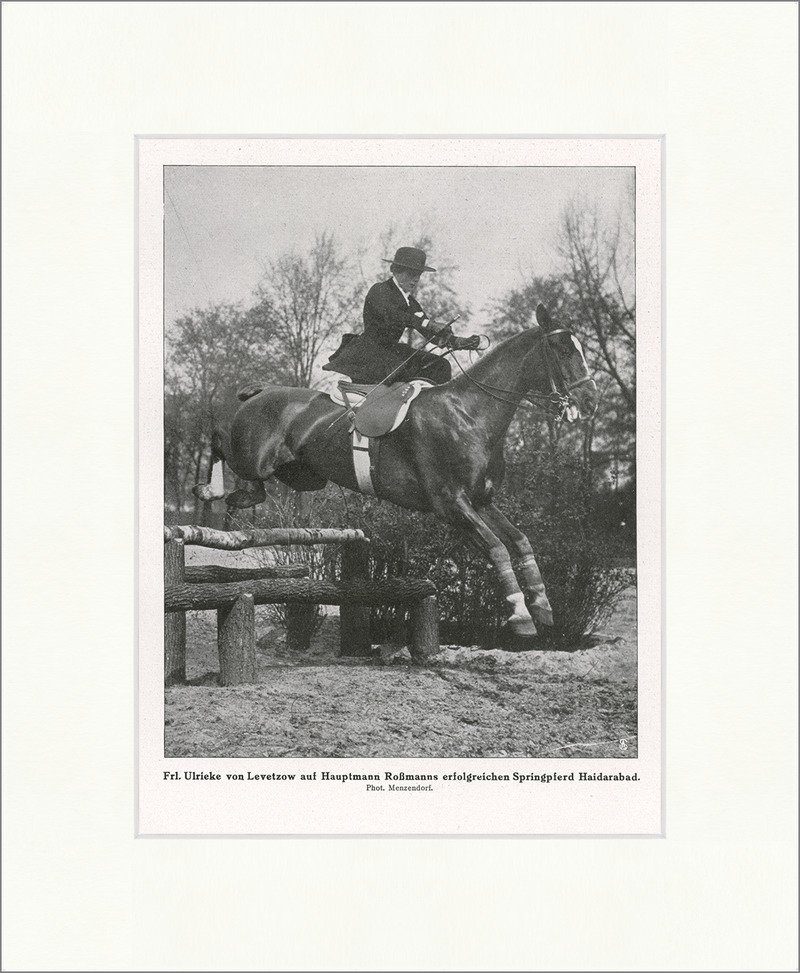 Kunstdruck Frl. Ulrieke von Levetzow auf Springpferd Haidarabad Reiter F_Vintage