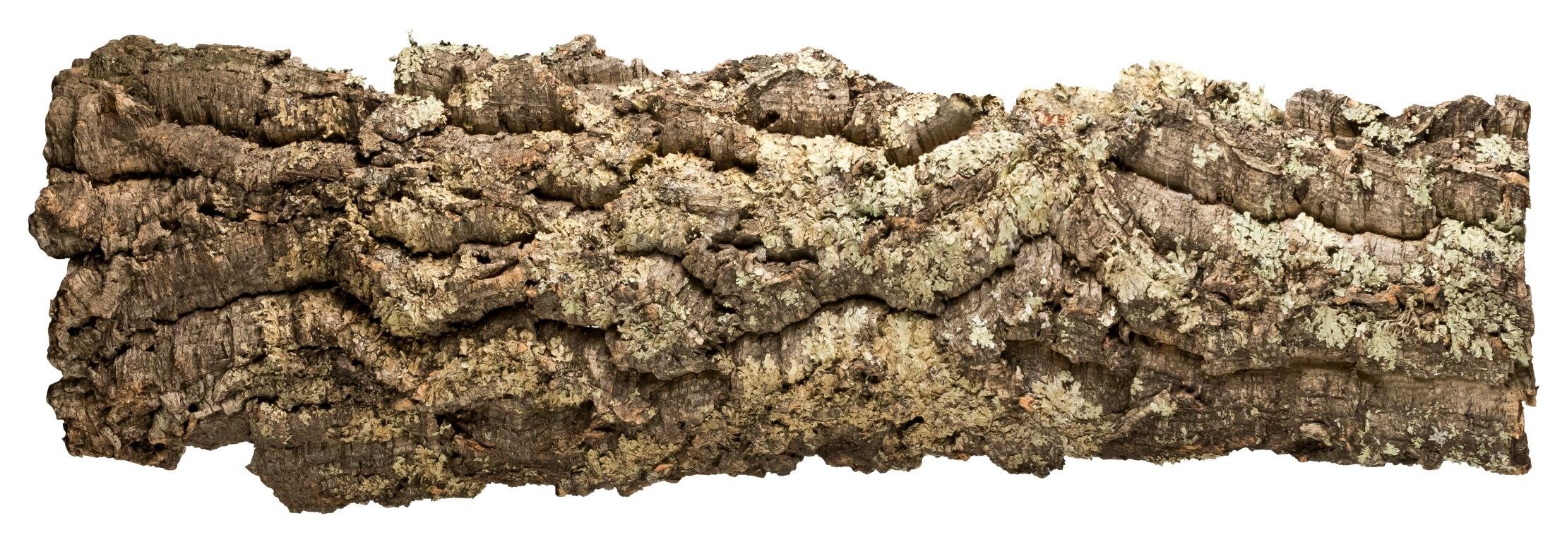 Kork-Deko.de Kork Kork flache Korkrinde (30x100cm) für Terrarien, als Deko oder zum Basteln