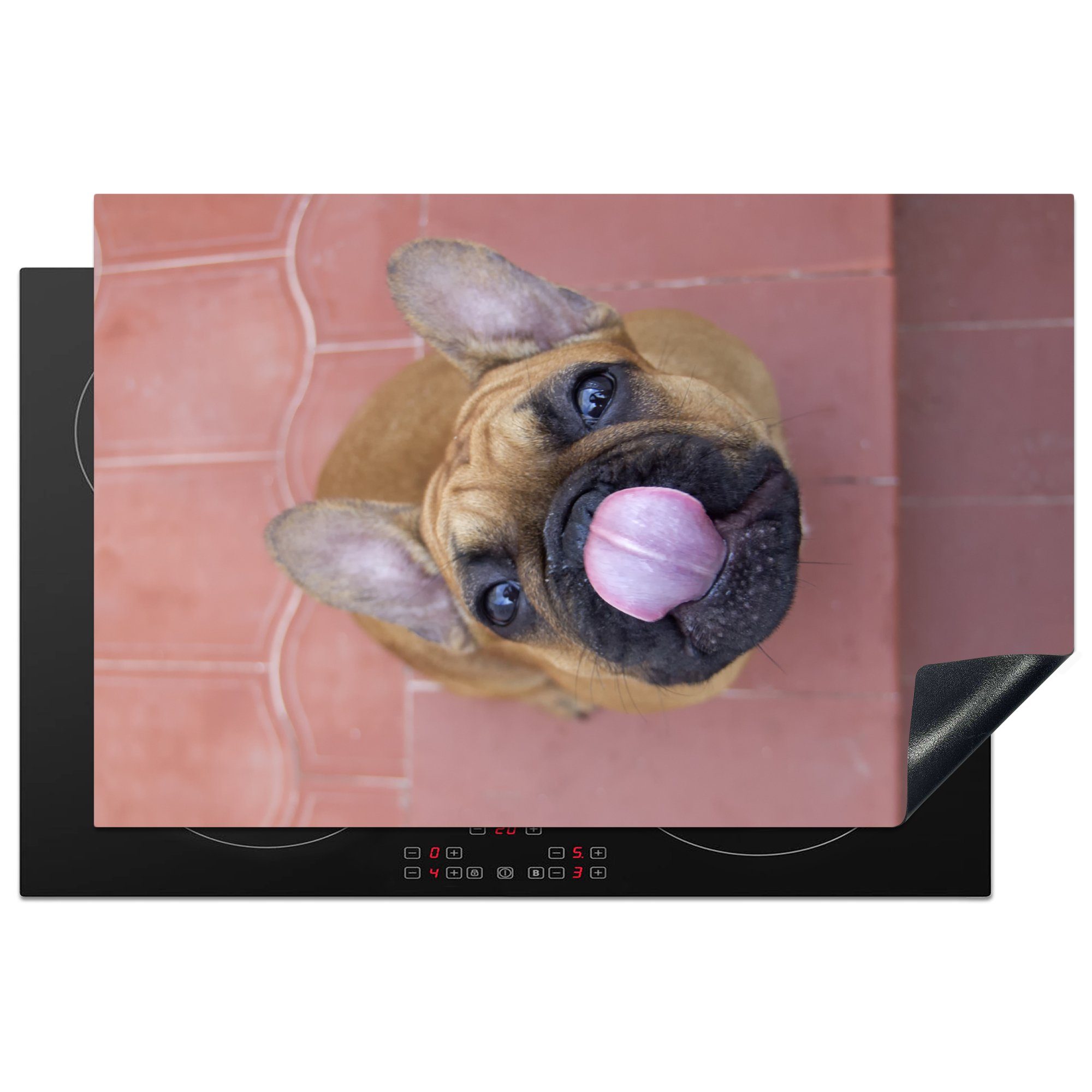 MuchoWow Herdblende-/Abdeckplatte Ein Welpe einer Französischen Bulldogge, Vinyl, (1 tlg), 81x52 cm, Induktionskochfeld Schutz für die küche, Ceranfeldabdeckung