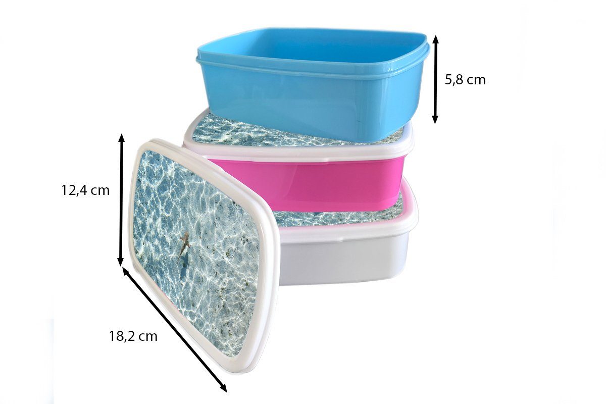 Hai (2-tlg), flachen weiß Brotdose, Kunststoff, Erwachsene, und Lunchbox Brotbox MuchoWow für im Mädchen Wasser, Jungs Kinder und für