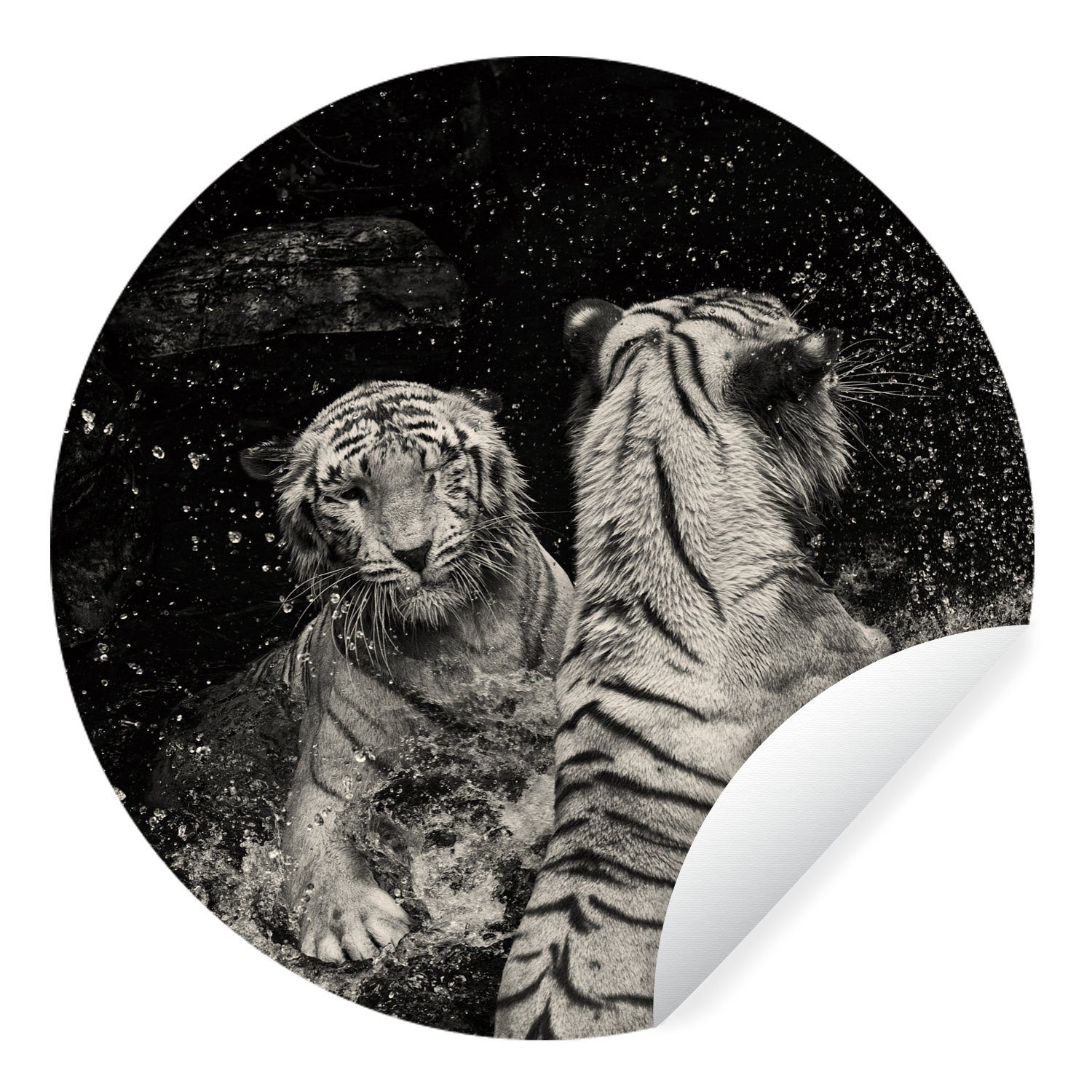 MuchoWow Wandsticker Tiger - Wasser - Wild (1 St), Tapetenkreis für Kinderzimmer, Tapetenaufkleber, Rund, Wohnzimmer