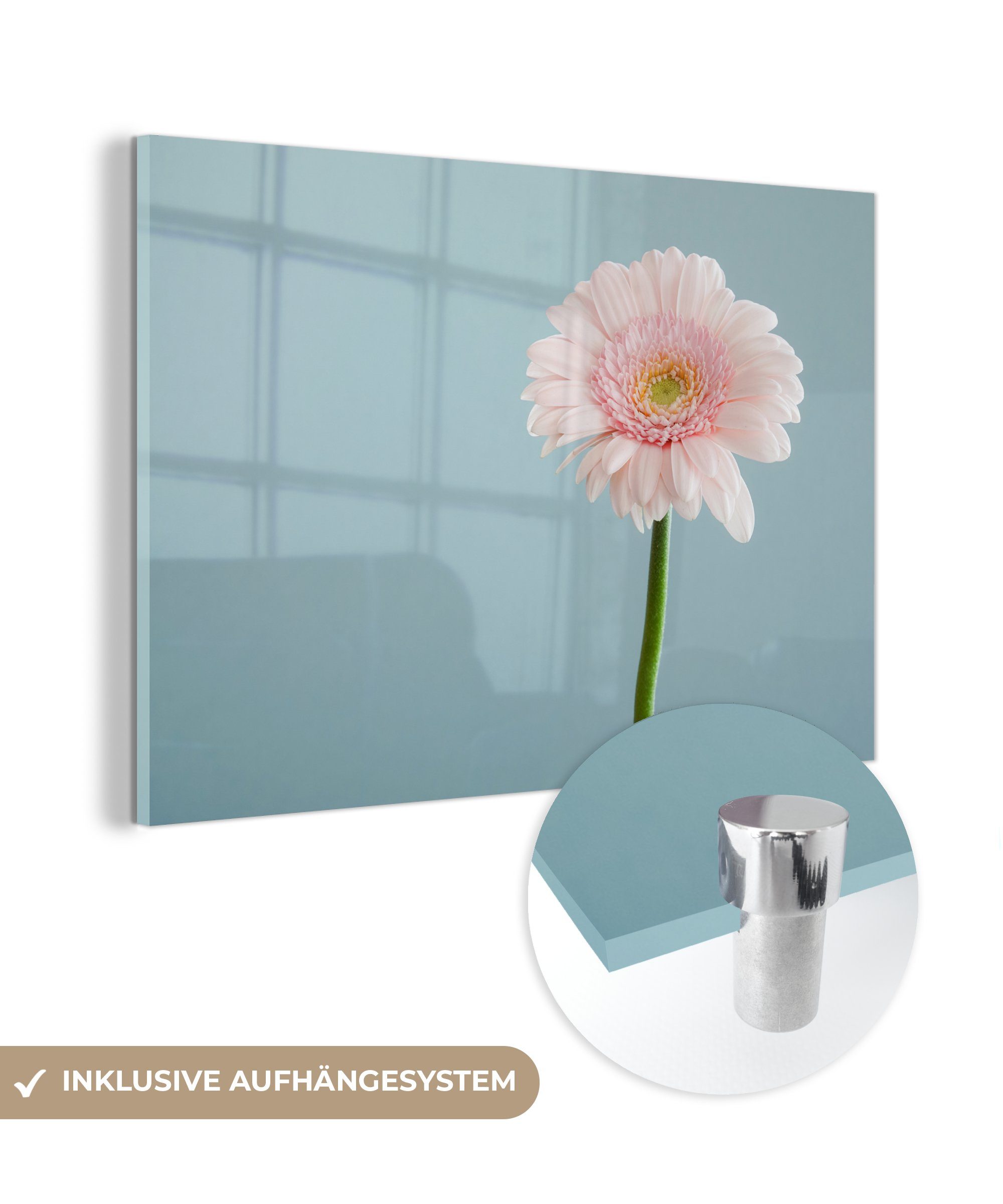 MuchoWow Acrylglasbild Blumen - Rosa - Makro, (1 St), Acrylglasbilder Wohnzimmer & Schlafzimmer