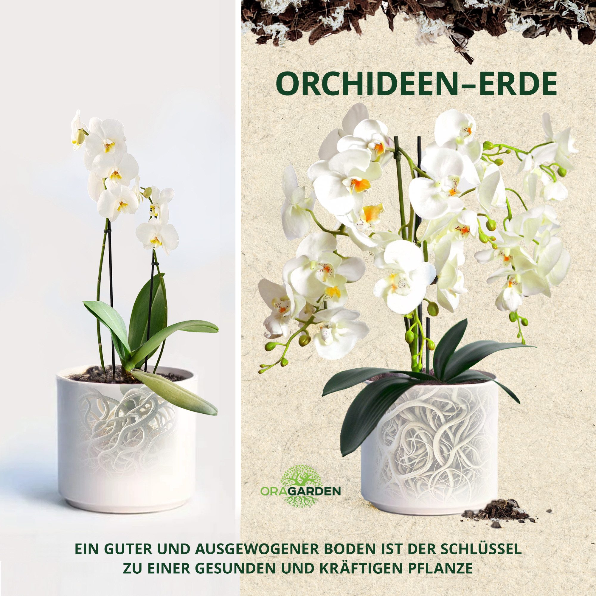 OraGarden Spezialerde Orchideen-Mix – Bild 3 von 5