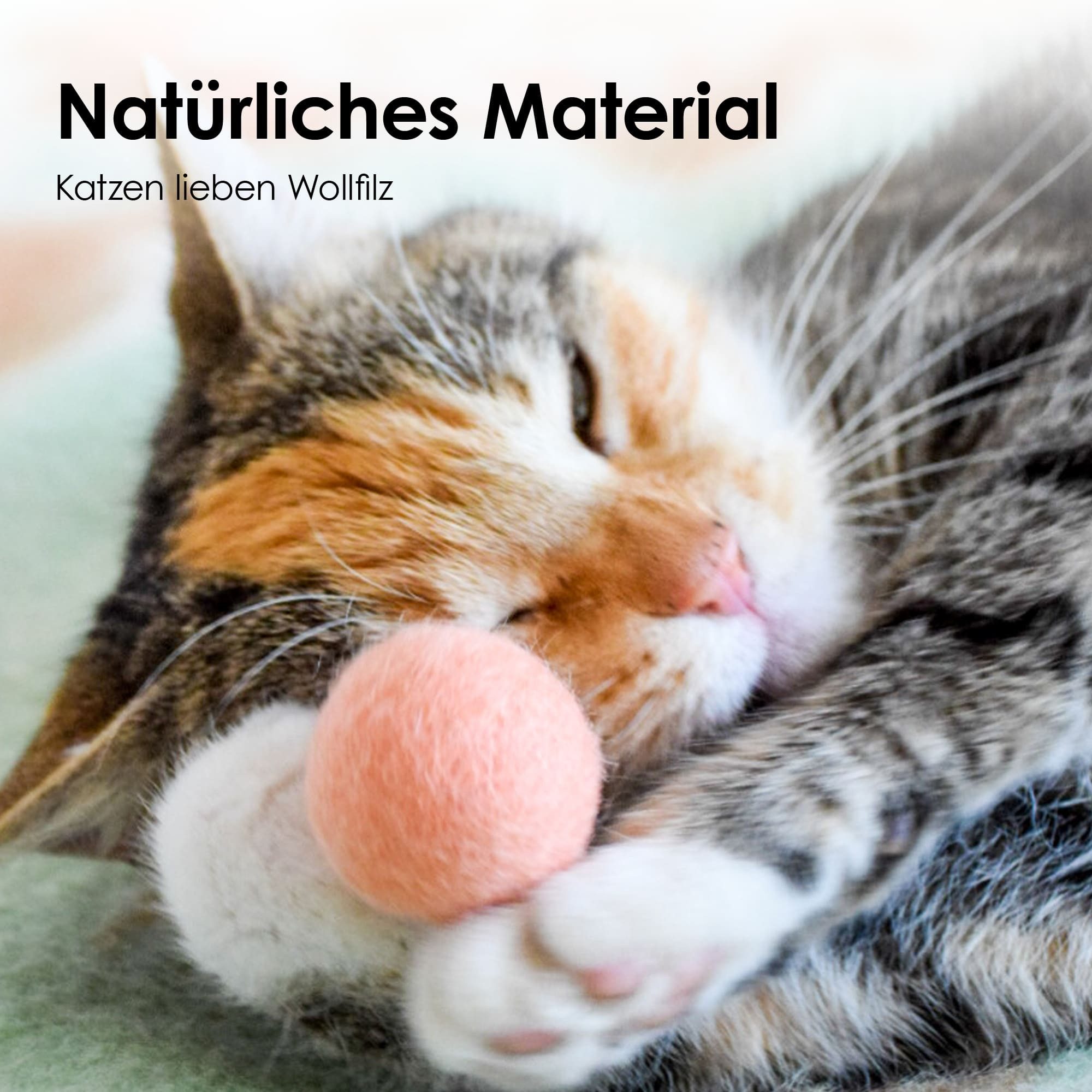 LucyBalu Tier-Beschäftigungsspielzeug 6 Filzbälle für Katzen, Katzenspielze günstig online kaufen