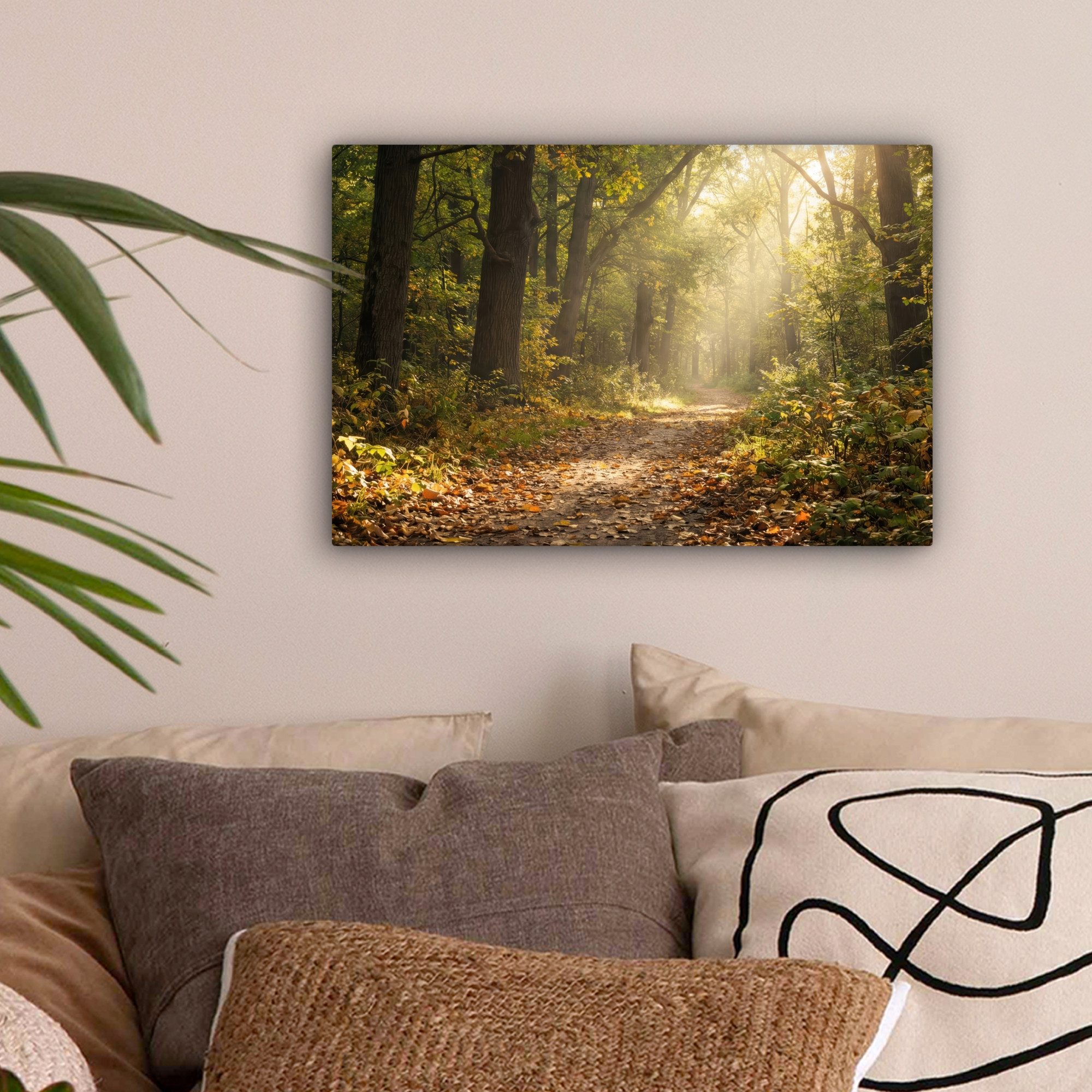 OneMillionCanvasses® Leinwandbild Sonnenlicht - Waldweg - Bäume, Fotodruck (1 St), Leinwand Bilder Klein, Wand Dekoration Aesthetic 30x20 cm – Bild 2 von 5