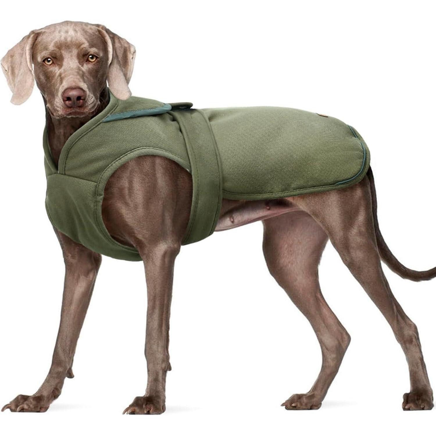 LuxusKollektion Hundemantel Leinwand Hund Wintermantel Fleecejacke XS-3XL Grün
