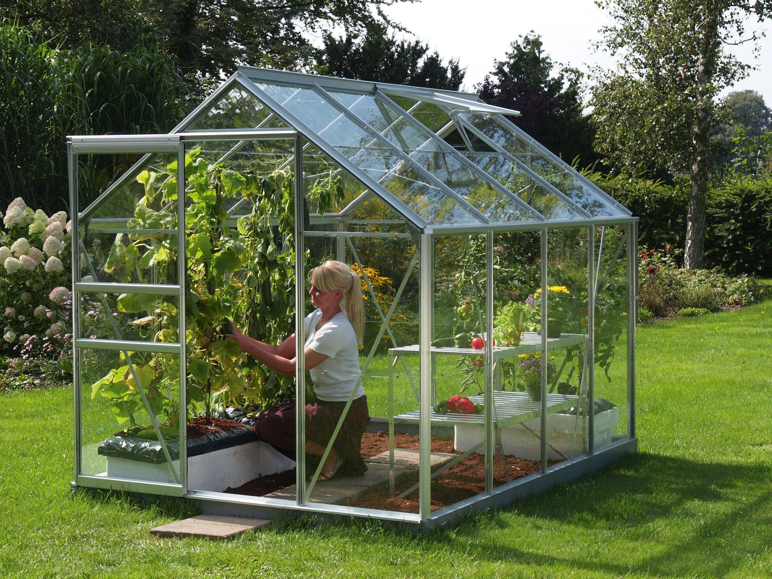 Vitavia Gewächshaus Venus 5000, BxTxH: 195 x 257 x 197 cm, 3 mm Wandstärke, Alu-Profile, 3 mm Einscheibensicheheitsglas