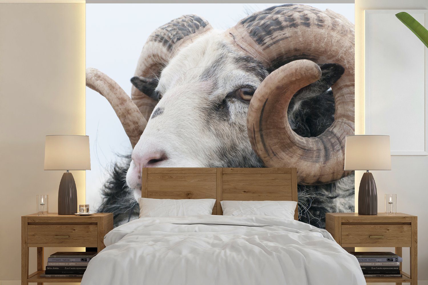 MuchoWow Fototapete Schafe - Horn - Tiere, Matt, bedruckt, (4 St), Vliestapete für Wohnzimmer Schlafzimmer Küche, Fototapete