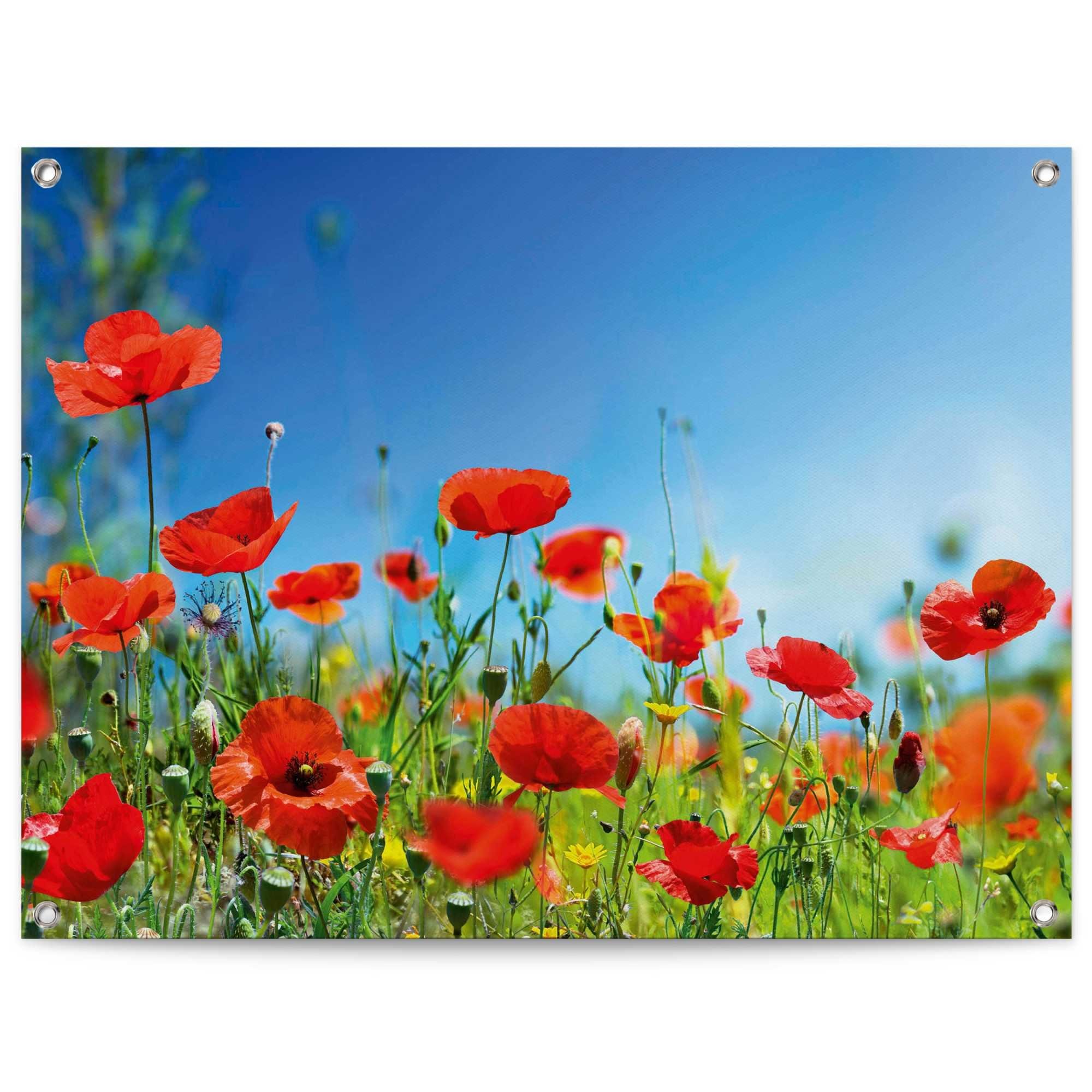 Reinders! Poster Sommerblumen, Outdoor für Garten oder Balkon