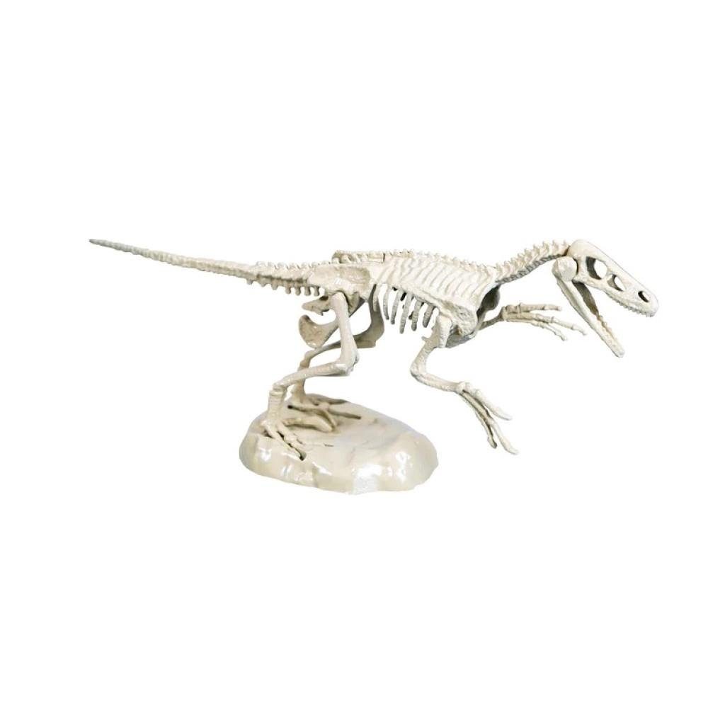 Velociraptor, Galileo Ausgrabungsset Science leuchtend Dinosaurier-Skelett Kreativset Clementoni®