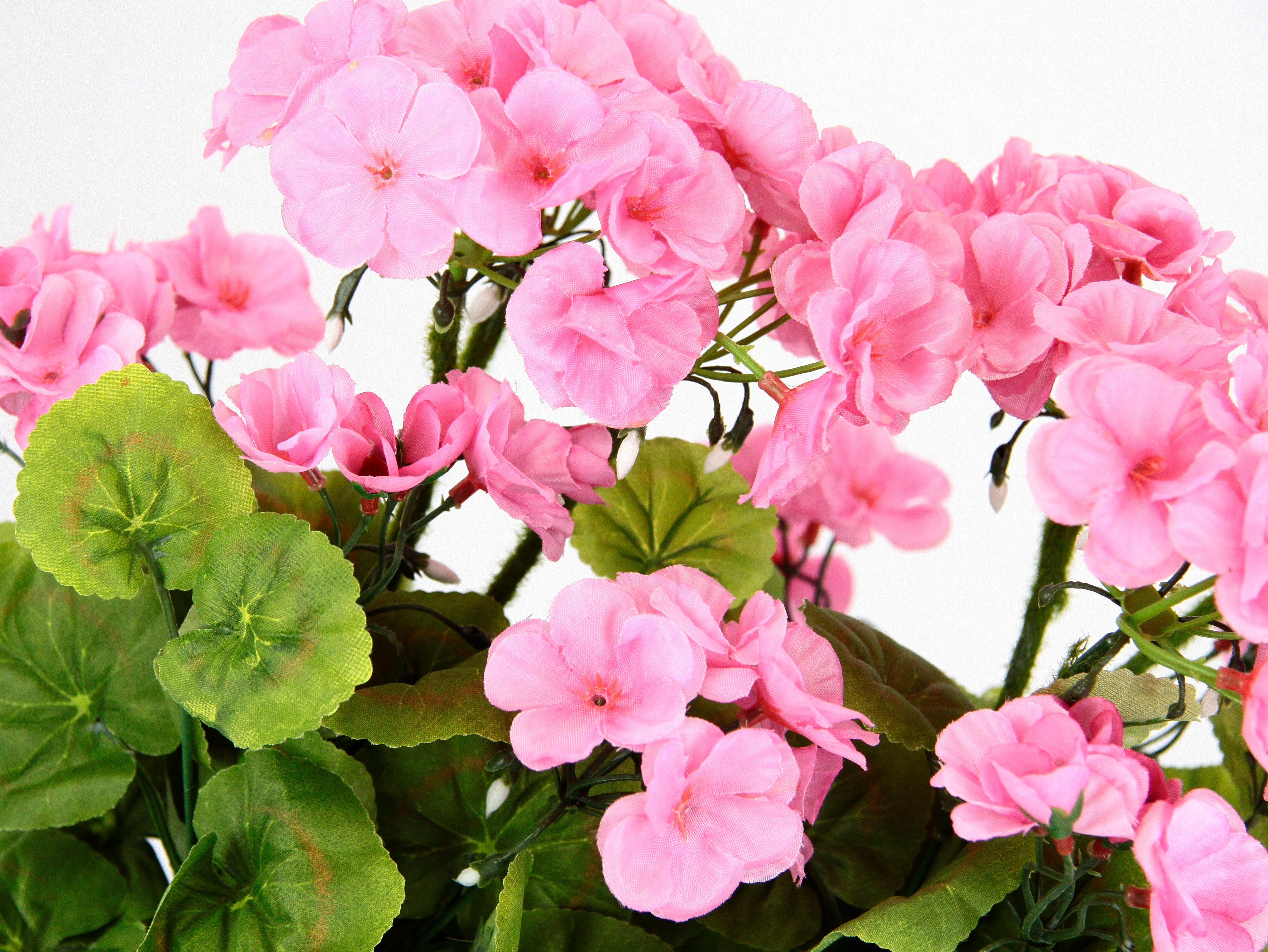 Kunstblume Geranie, my home, Höhe 36 cm, Im Kasten günstig online kaufen