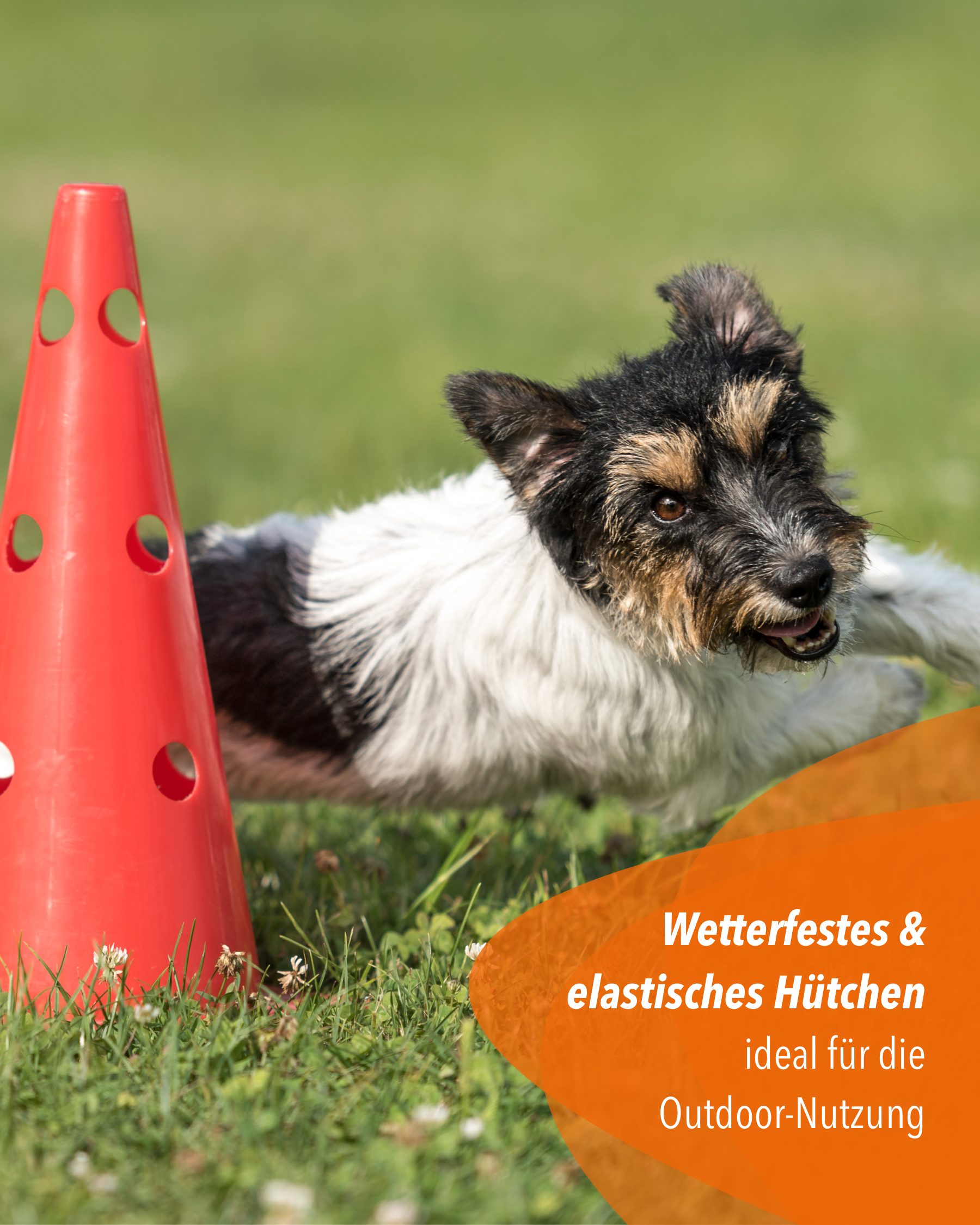 Superhund Markierungshütchen Loch-Markierkegel 30 cm Farbe Orange