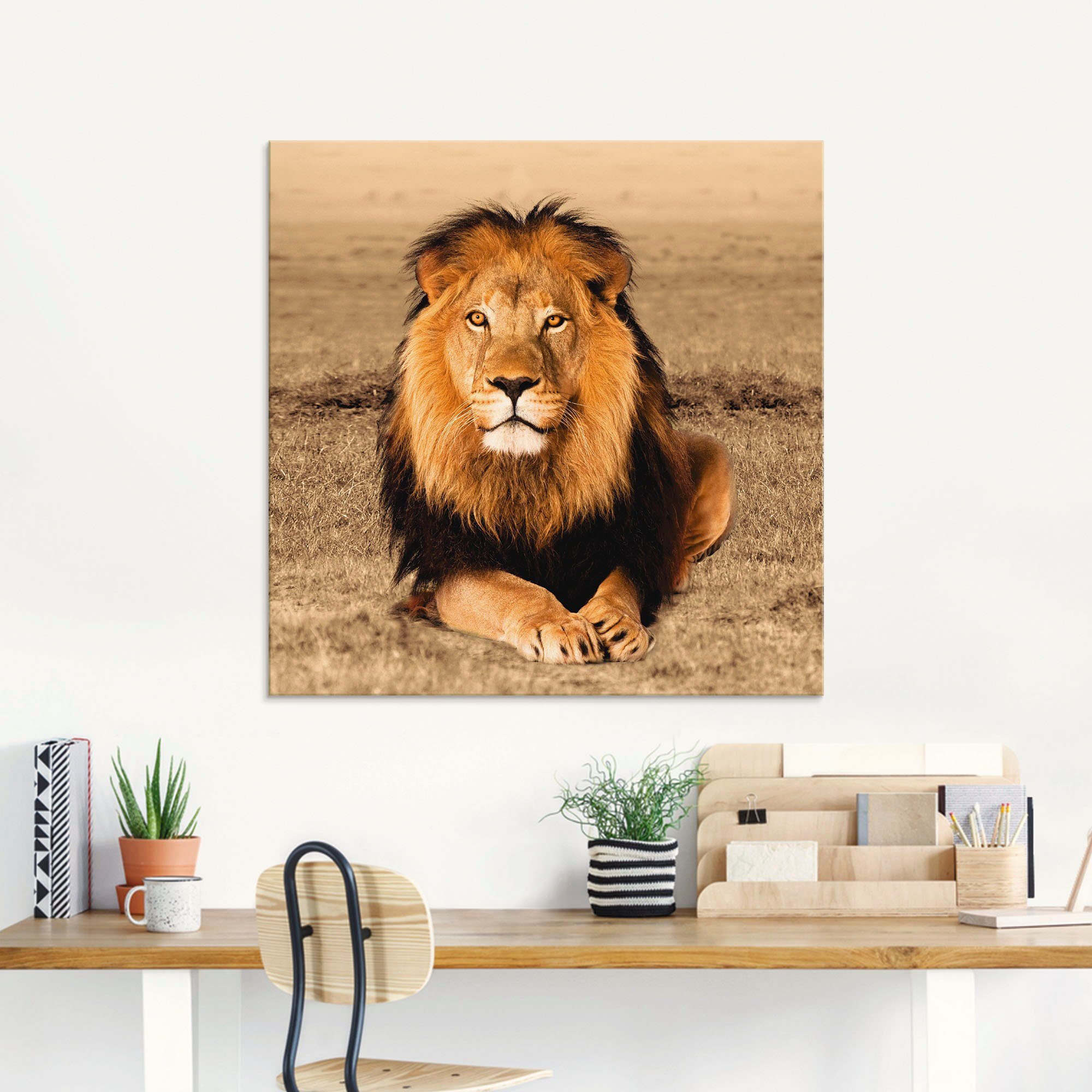 Artland Glasbild Löwe, Wildtiere (1 St), in verschiedenen Größen