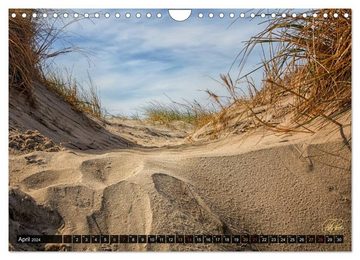 CALVENDO Wandkalender Nordsee-Dünen (Wandkalender 2024 DIN A4 quer), CALVENDO Monatskalender
