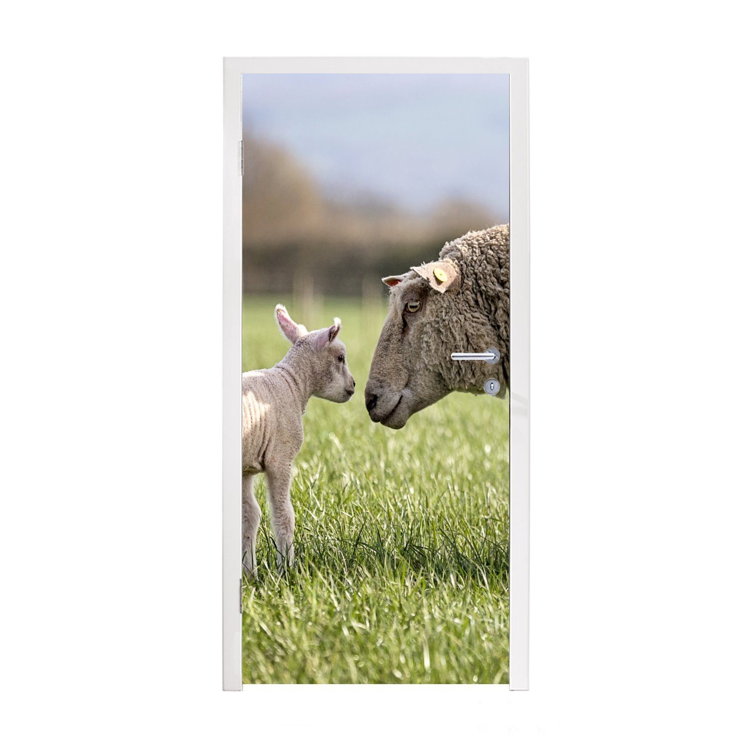 Vergünstigung MuchoWow Türtapete Schafe - für (1 Tür, Fototapete Gras, Matt, 75x205 Türaufkleber, bedruckt, Sonne St), - cm