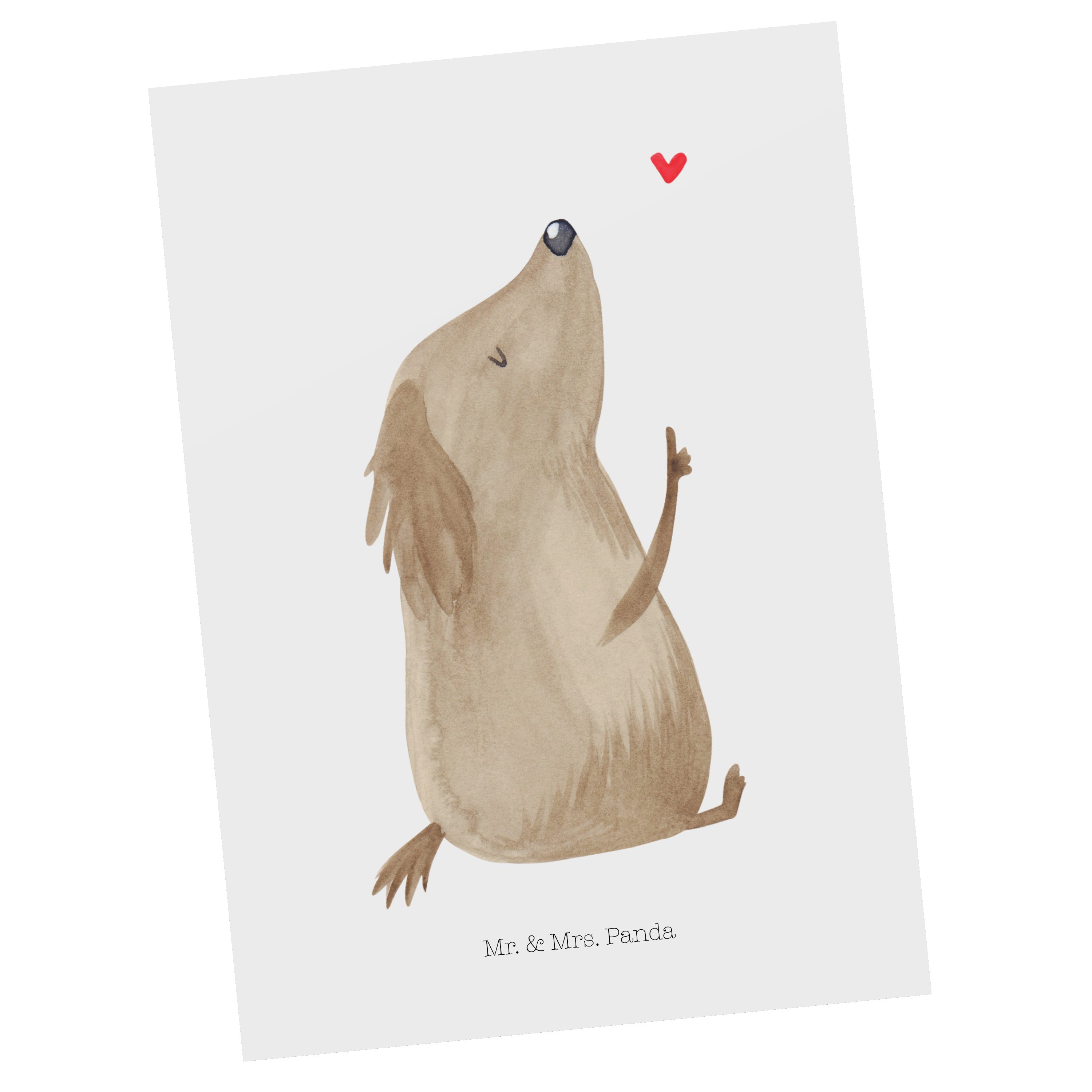 Mr. & Mrs. Panda Postkarte Hund Liebe - Weiß - Geschenk, Hundeliebe, Tierliebhaber, Herz, Ansich | Grußkarten