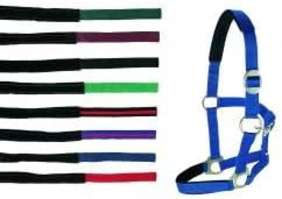 Kerbl Halfter Gurthalfter, unterlegt Import .s74 - 75 - Warmblut - bl, Warmblut