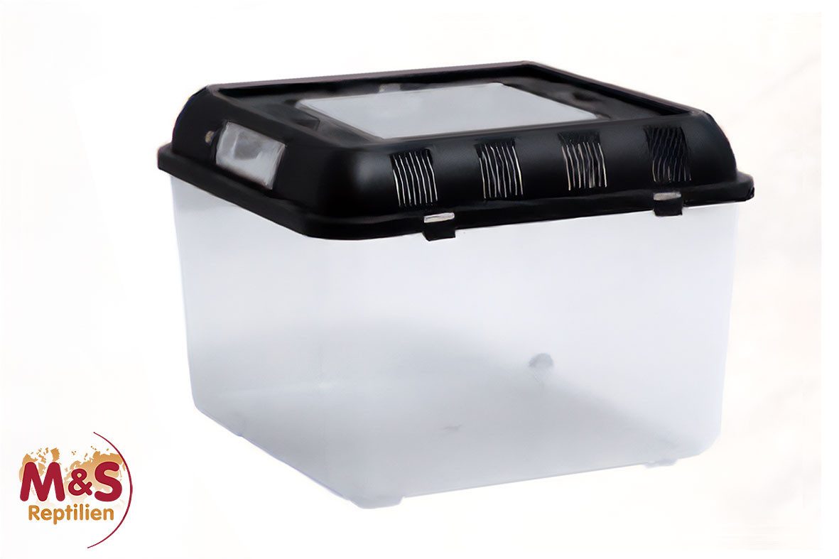 Terrarium ReptiZoo Plastikterrarium small 26x26x20 cm (RT2002B)