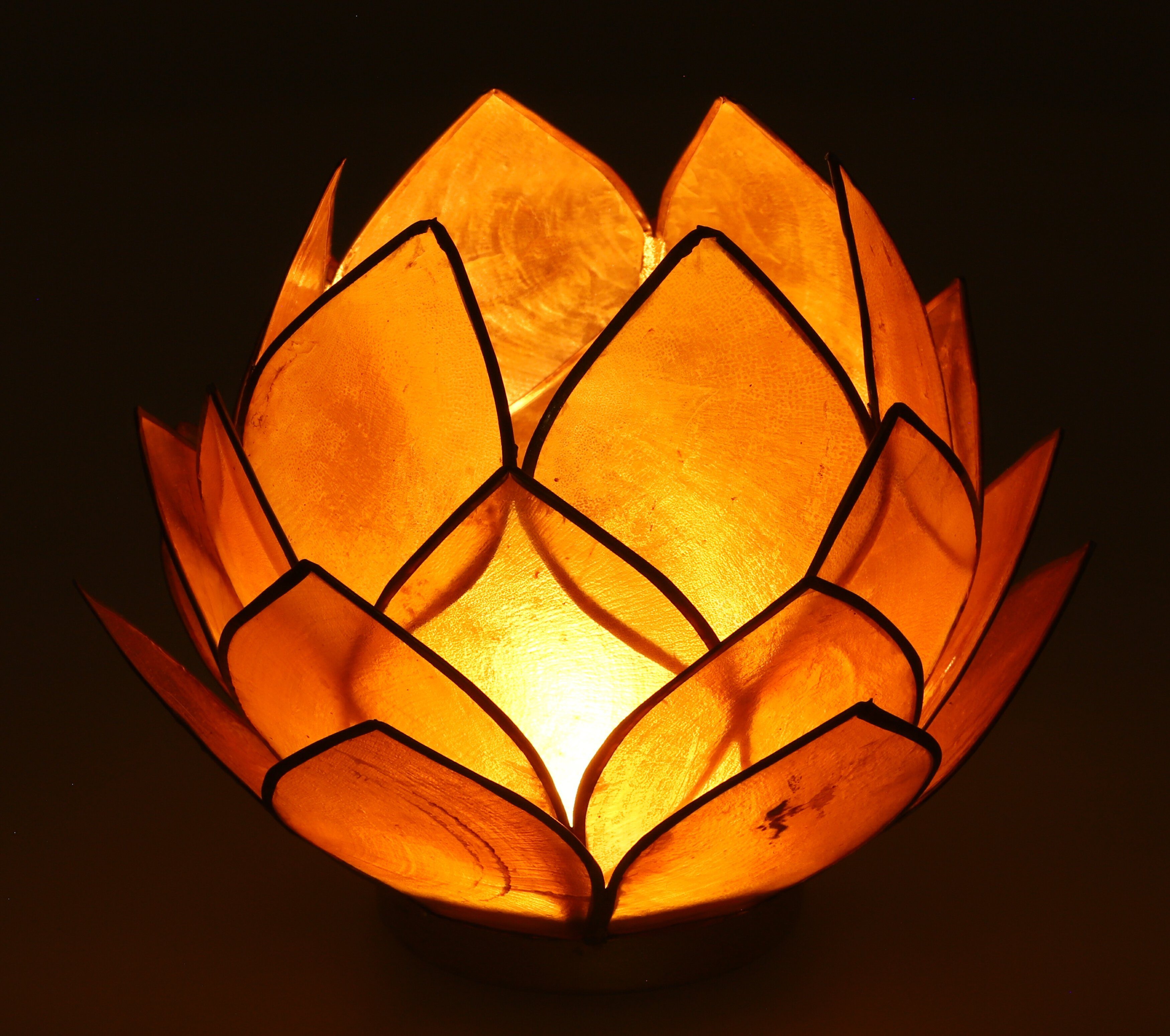 Guru-Shop Windlicht Lotus Teelicht Muschel 14*10 günstig online kaufen