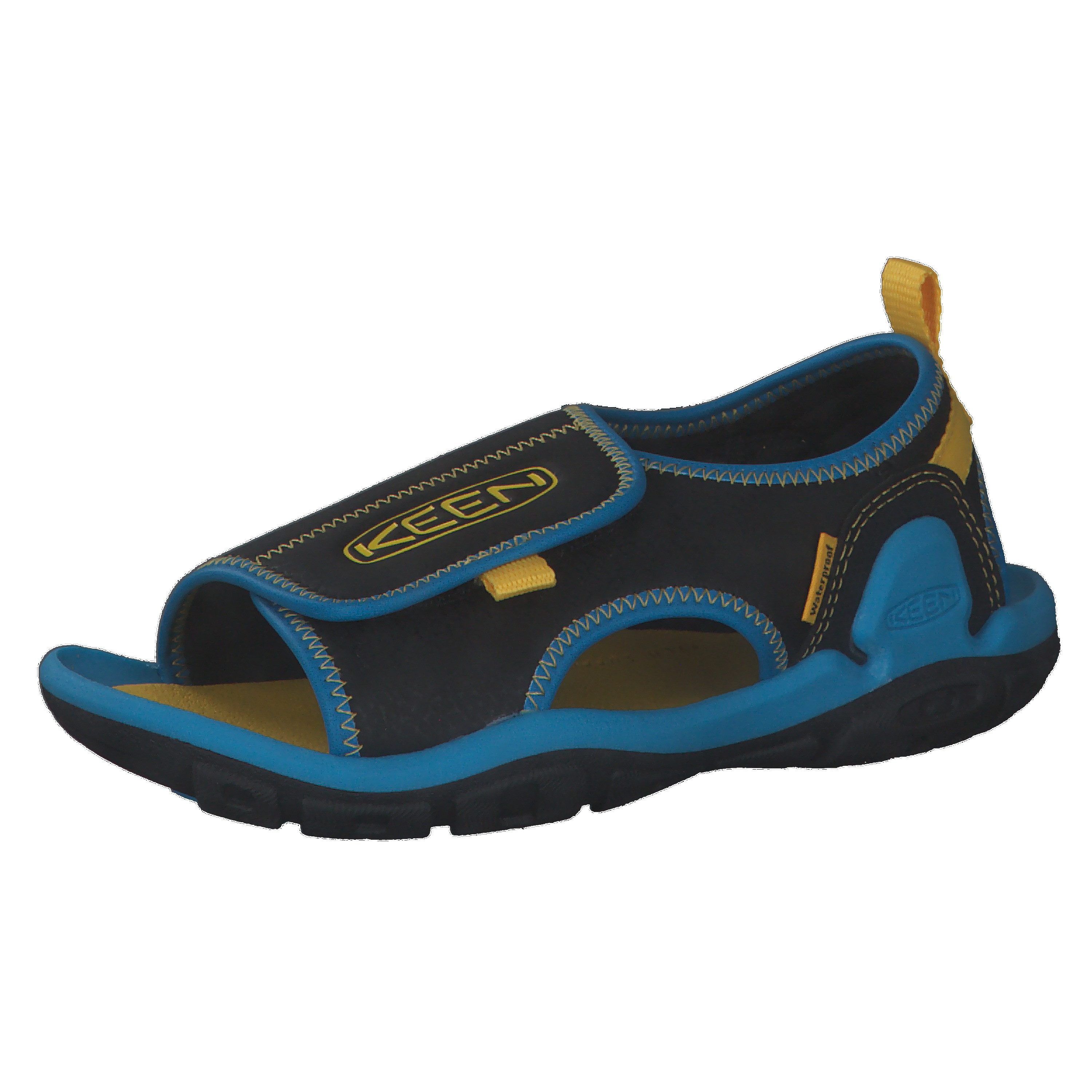 Black/Vivid Blue