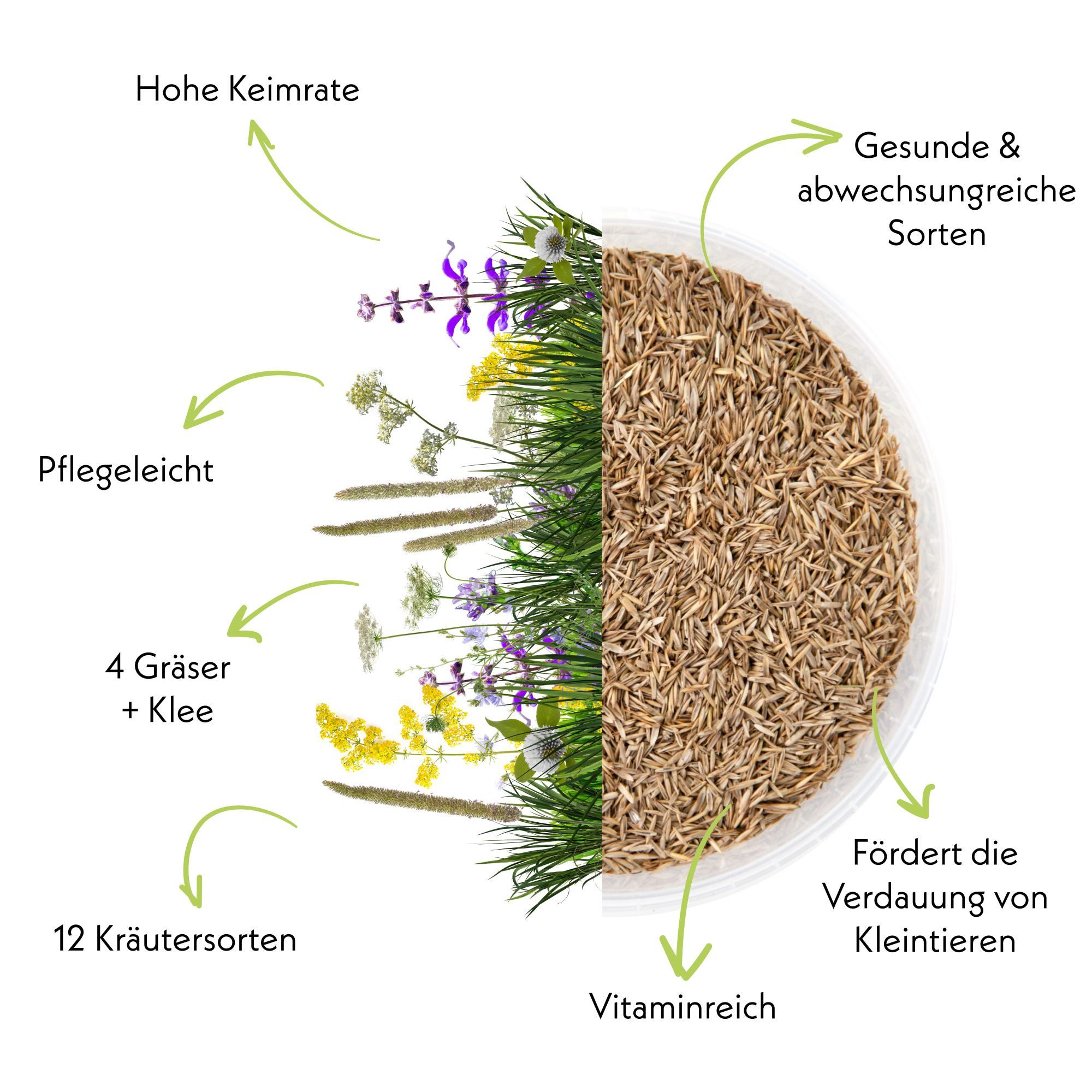 HappySeed Kräutersamen Kaninchenwiese Samen - Kleintierw. Saatgut (Anzucht von Zusatzfutter), 0.1 kg, Zusatzfutter