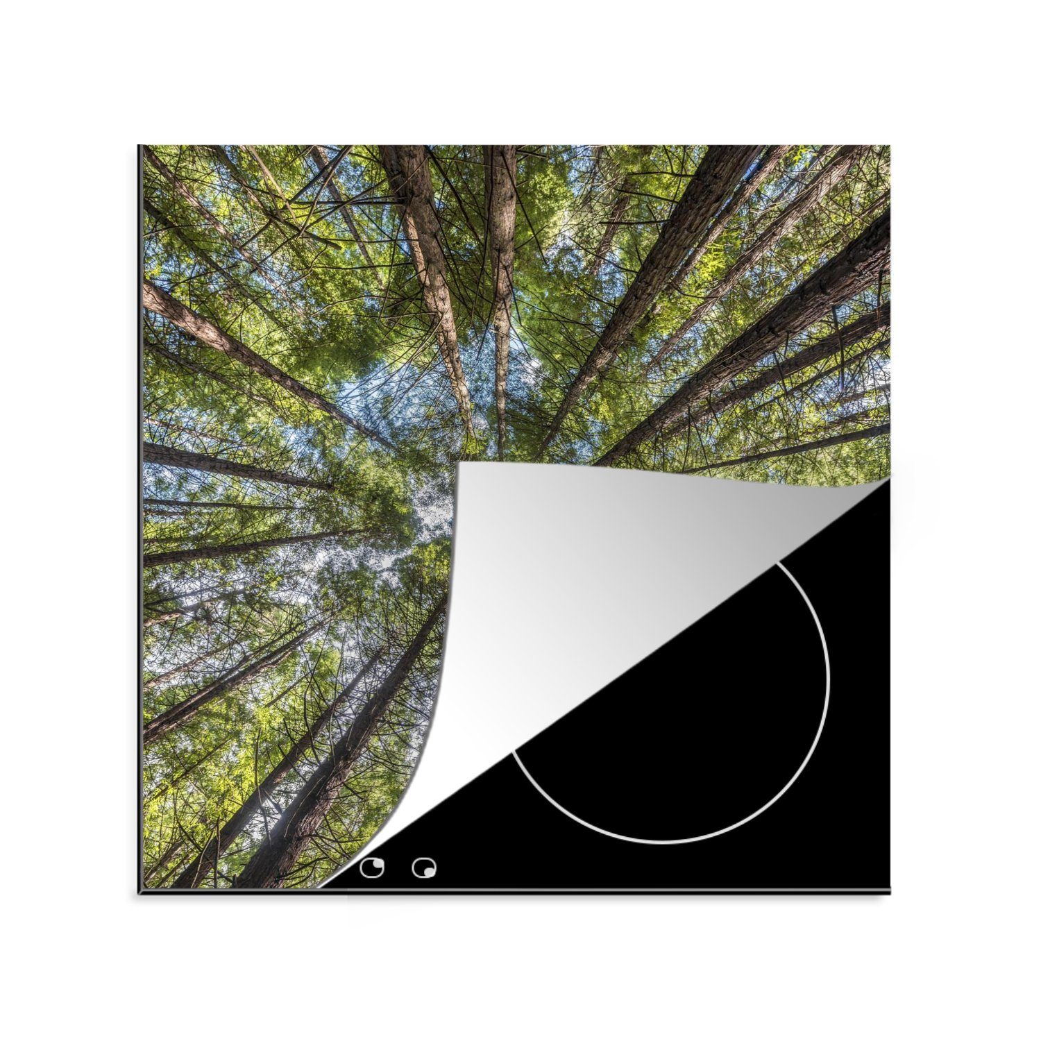 MuchoWow Herdblende-/Abdeckplatte Der Mammutbaumwald bei Whakarewarewa in Neuseeland, Vinyl, (1 tlg), 78x78 cm, Ceranfeldabdeckung, Arbeitsplatte für küche