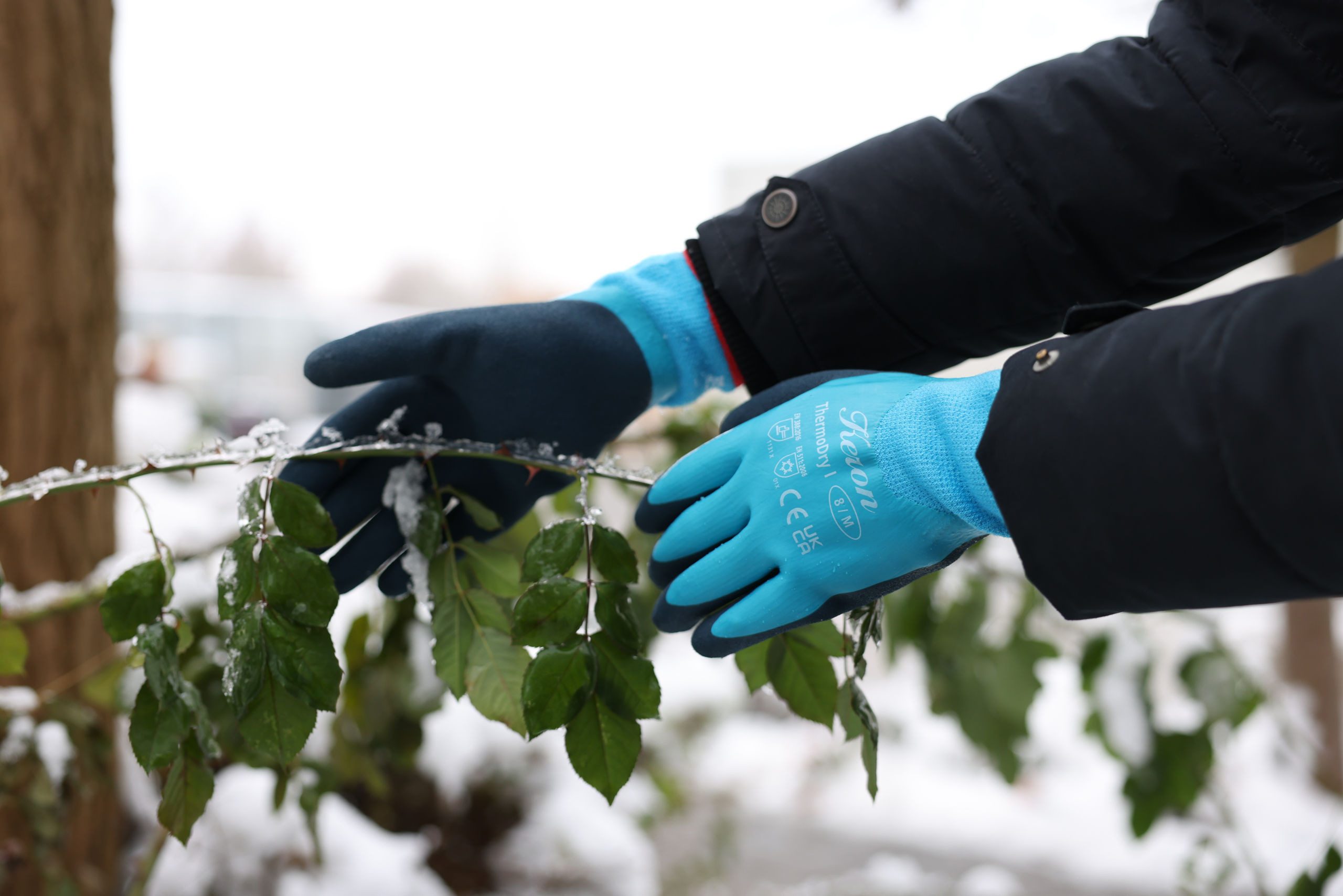 Kerbl Gartenhandschuhe Winterhandschuh ThermoDry (5-St) Rutschfest & griffig