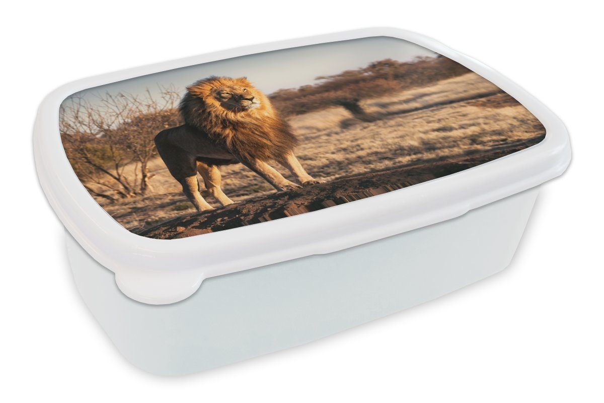 MuchoWow Lunchbox Löwe Kunststoff, - - für weiß und Brotdose, Jungs Sonne, und Mädchen Erwachsene, Hügel (2-tlg), Kinder für Brotbox