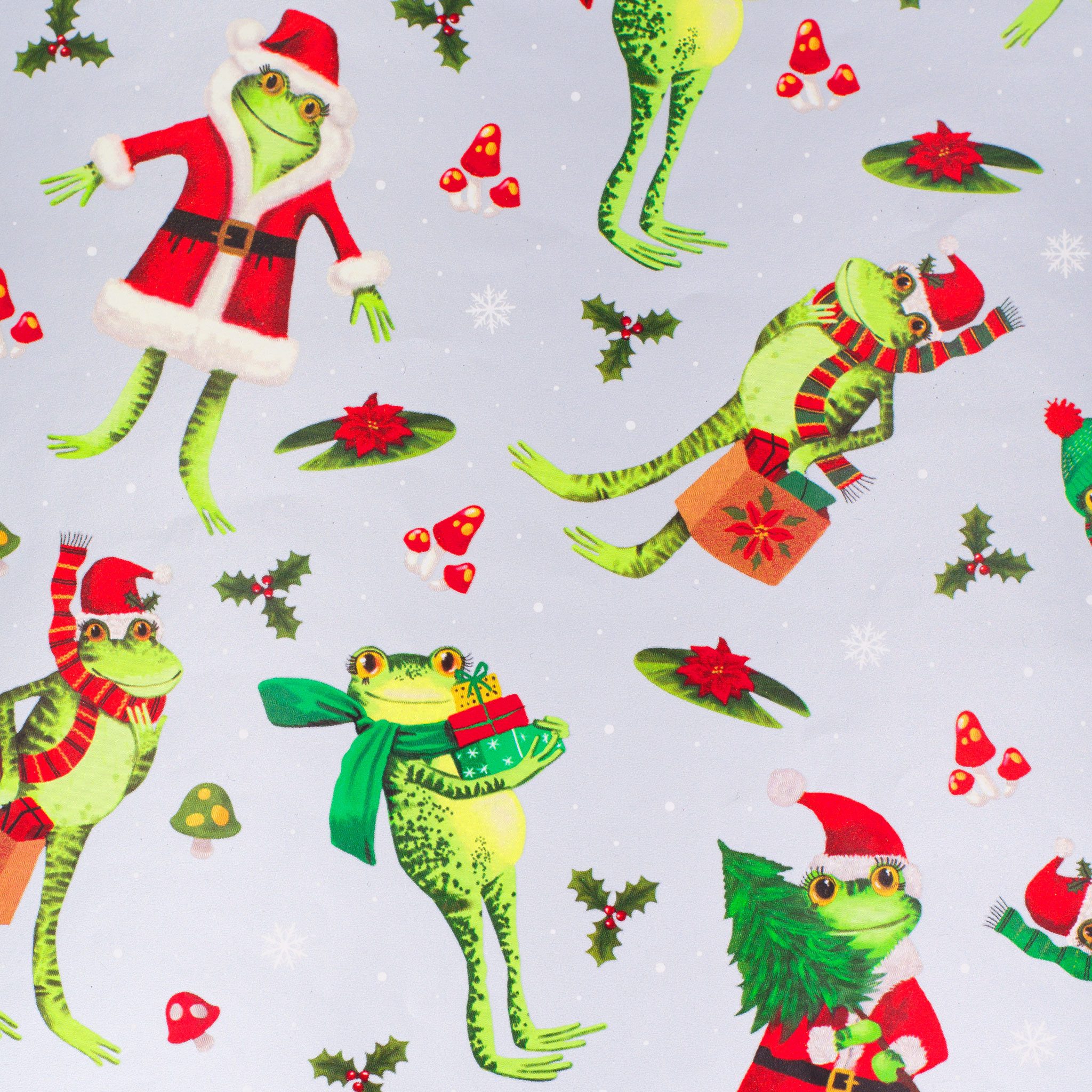 Star Geschenkpapier, Geschenkpapier Frosch mit Geschenken 70cm x 2m Rolle Silber / Grün