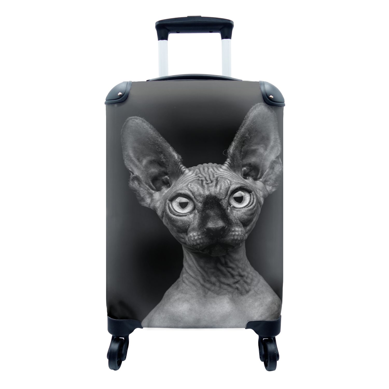 Rollen, Handgepäck 4 Sphynx Trolley, rollen, schwarzem mit Hintergrund weiß, schwarz Ferien, Handgepäckkoffer und für Reisetasche Reisekoffer - auf Katze MuchoWow