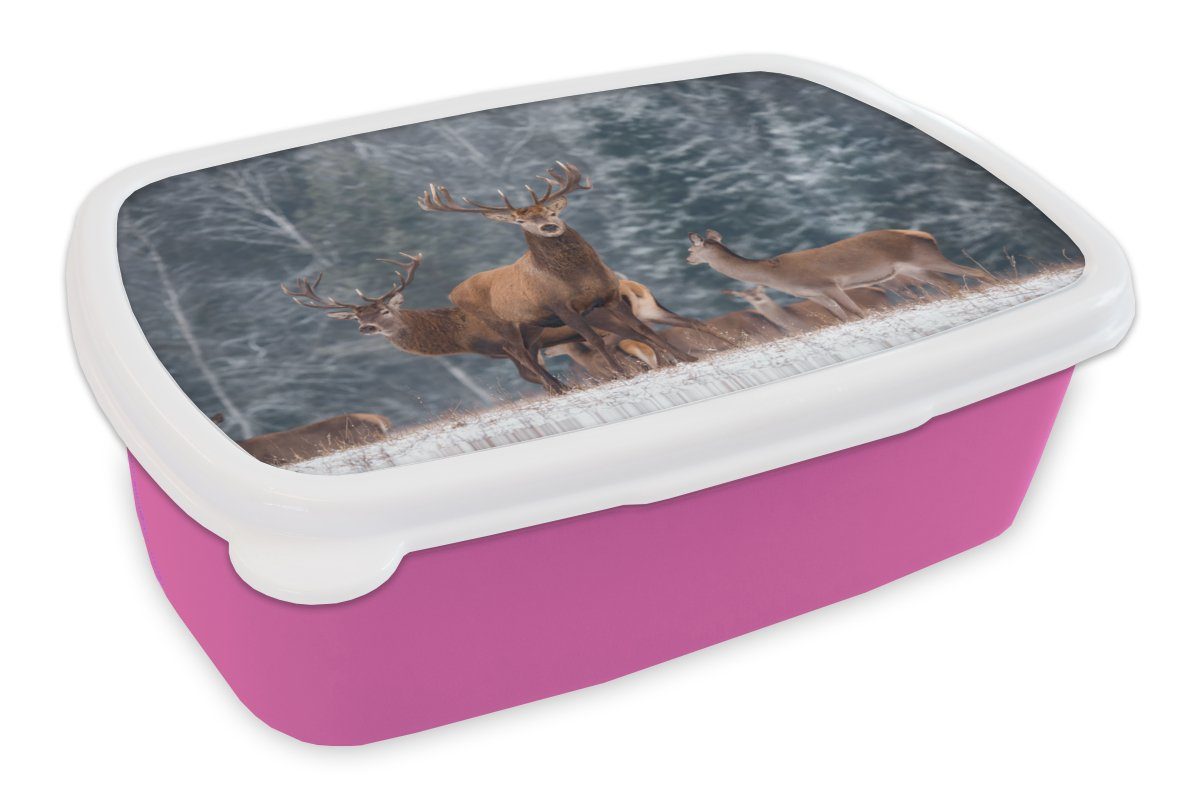 MuchoWow Lunchbox Hirsche - Tiere - Natur, Kunststoff, (2-tlg), Brotbox für Erwachsene, Brotdose Kinder, Snackbox, Mädchen, Kunststoff rosa