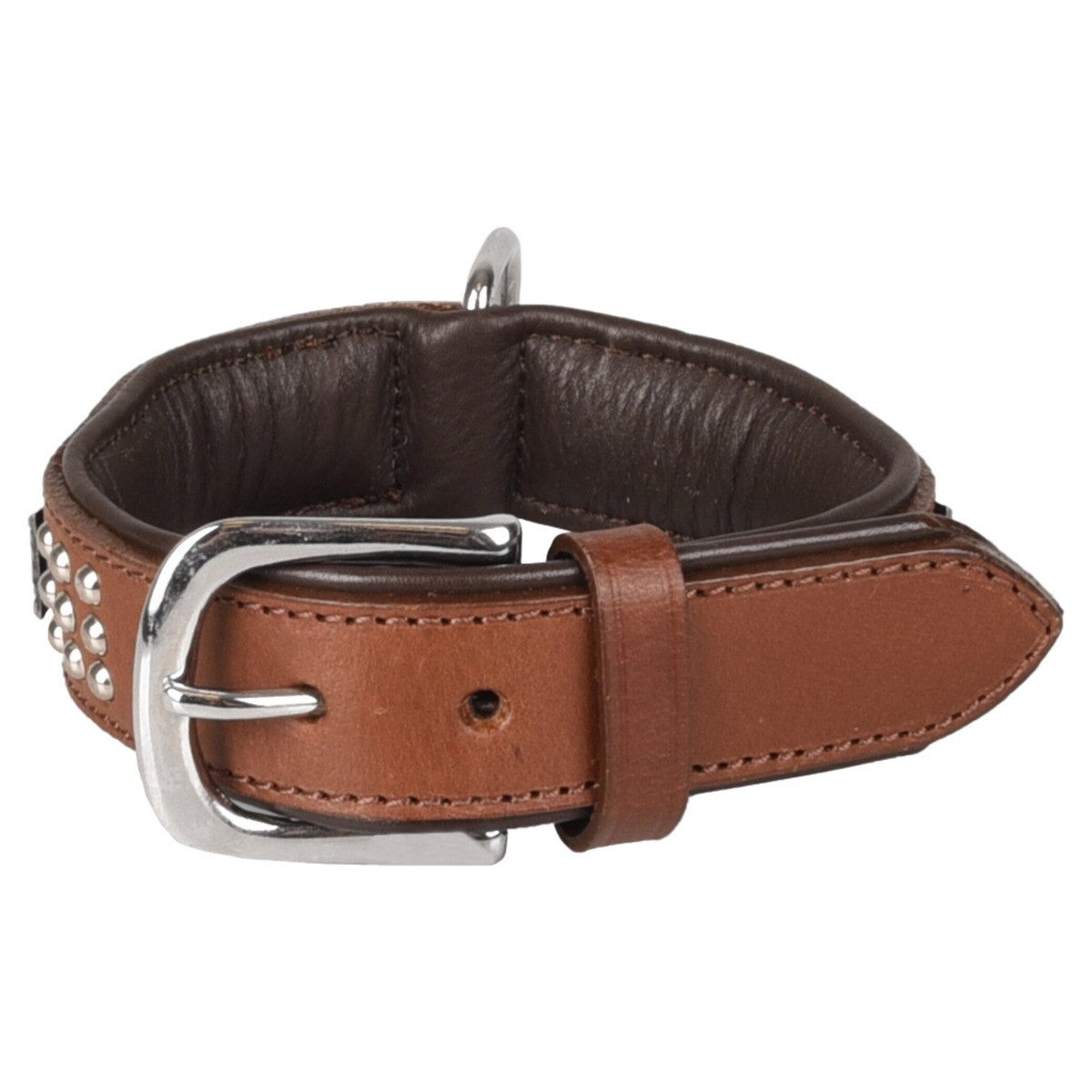 Flamingo Hunde-Halsband Halsband Sedona Leder mit Nieten braun