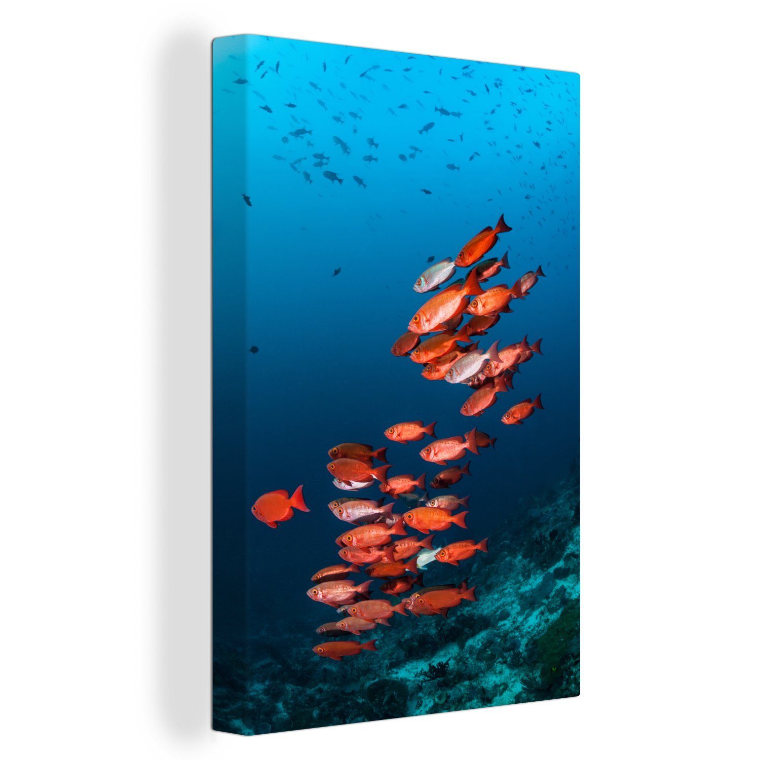 inkl. fertig OneMillionCanvasses® Gemälde, Leinwandbild Zackenaufhänger, bespannt Fisch Ozean, Leinwandbild 20x30 (1 - St), cm Rot -