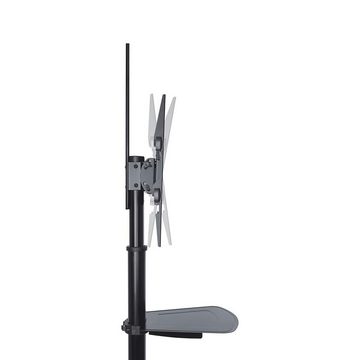 PureMounts PureMounts PM-CART-70B TV Standfuß für LCD/LED/Plasma Bildschirme von TV-Wandhalterung