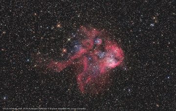 BRESSER Teleskop Messier NT203s/800 Optischer Tubus