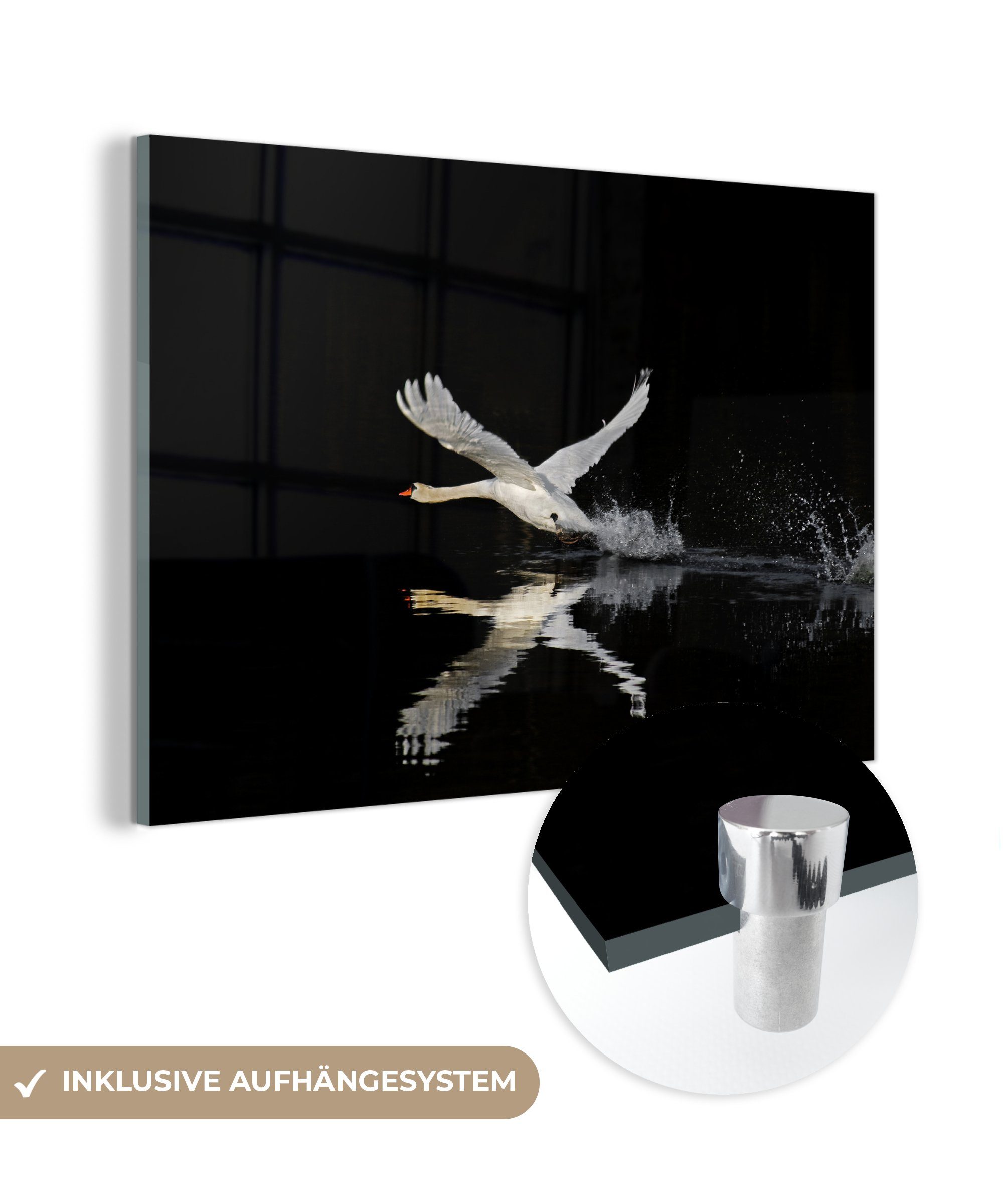 MuchoWow Acrylglasbild Schwan fliegt über das schwarze Wasser, (1 St), Acrylglasbilder Wohnzimmer & Schlafzimmer