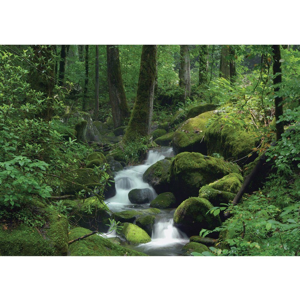 Natur liwwing no. Wald Felsen Bäume Fototapete Wasserfall 446, liwwing Fototapete Baum Wald