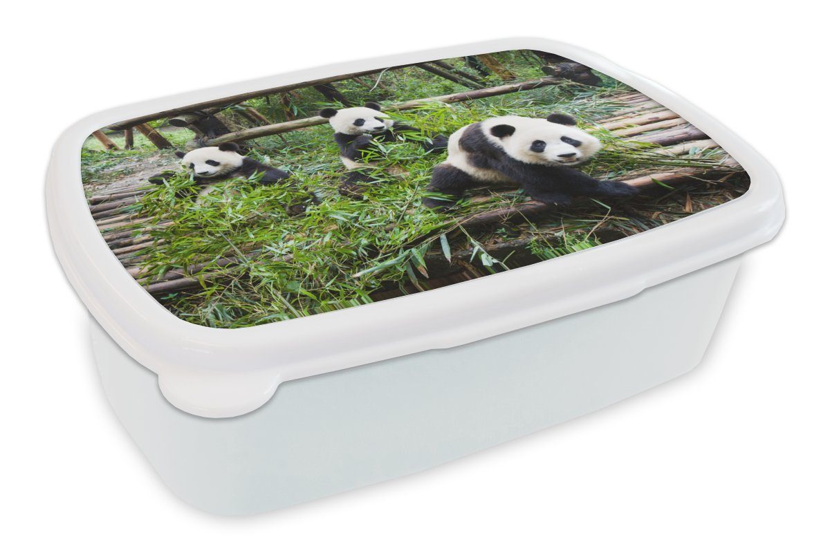 MuchoWow Lunchbox Pandas - Bambus - Blätter, Kunststoff, (2-tlg), Brotbox für Kinder und Erwachsene, Brotdose, für Jungs und Mädchen weiß