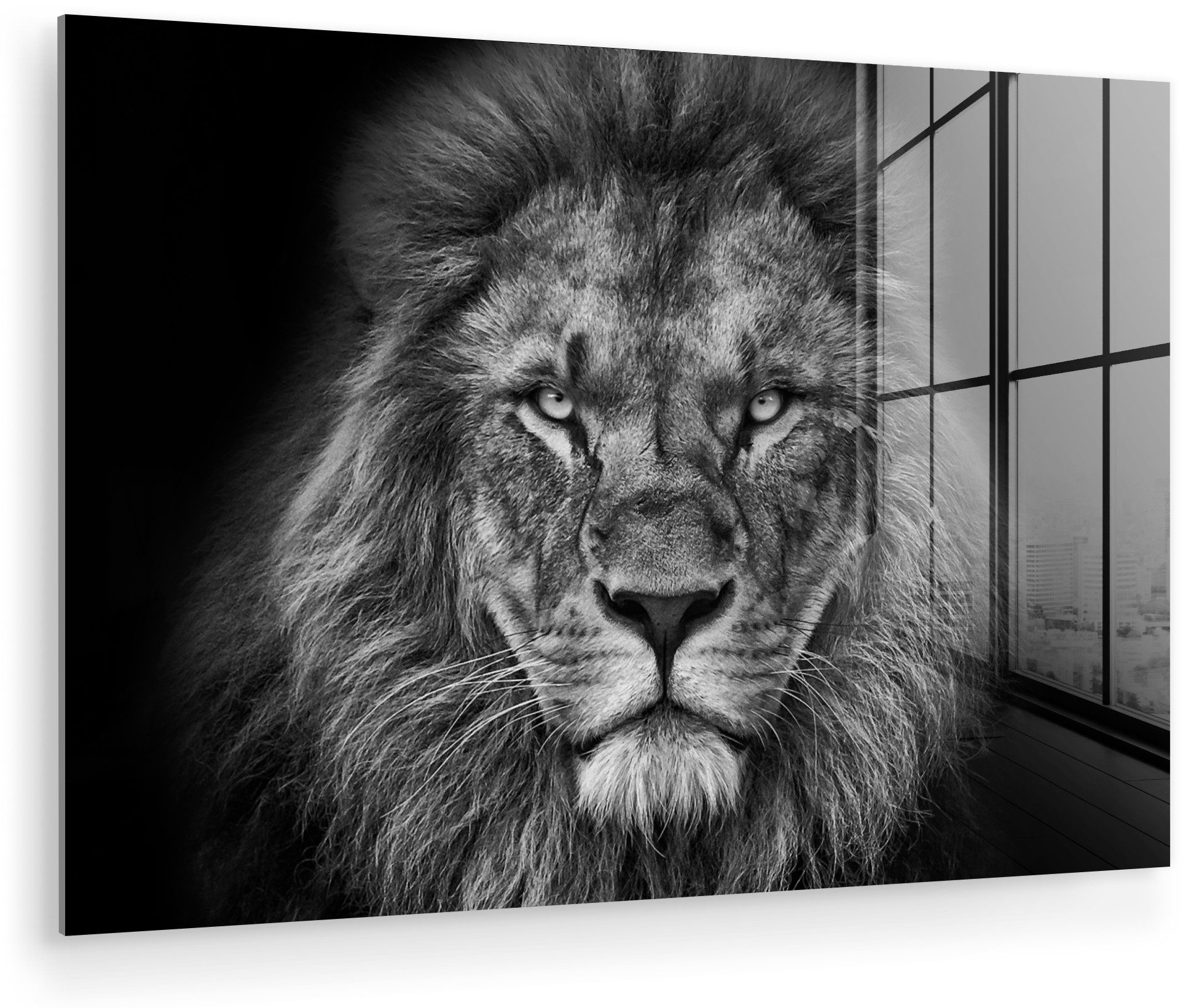 MuchoWow Acrylglasbild Tiere - Löwe - Schwarz - Weiß - Porträt, Inkl. Aufhä günstig online kaufen
