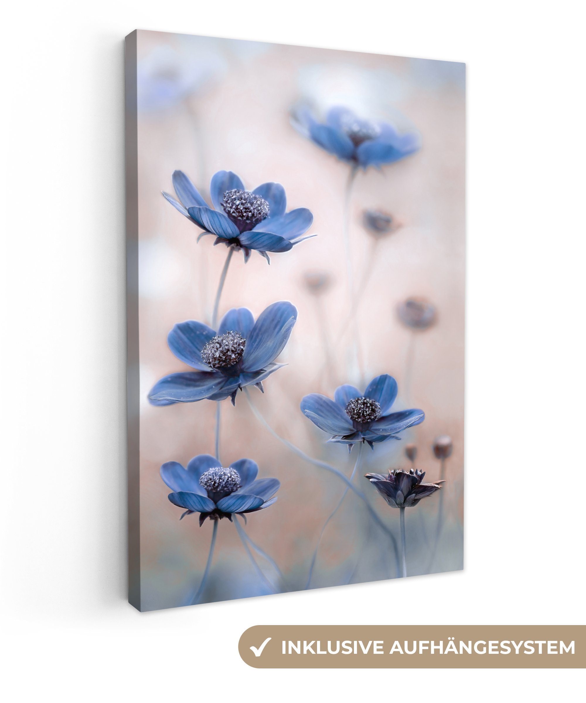 OneMillionCanvasses® Leinwandbild Kosmos - Blumen - Natur - Blau, Fotodruck günstig online kaufen