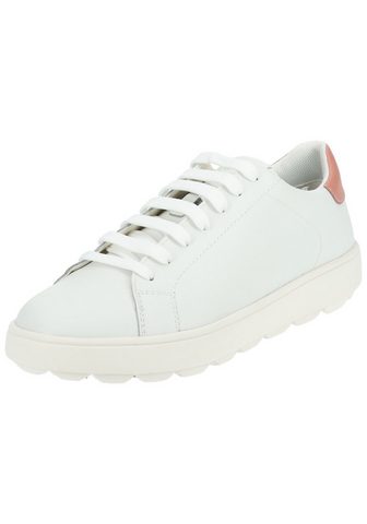  Geox Geox Sneaker Leder/Synthetik Snea...