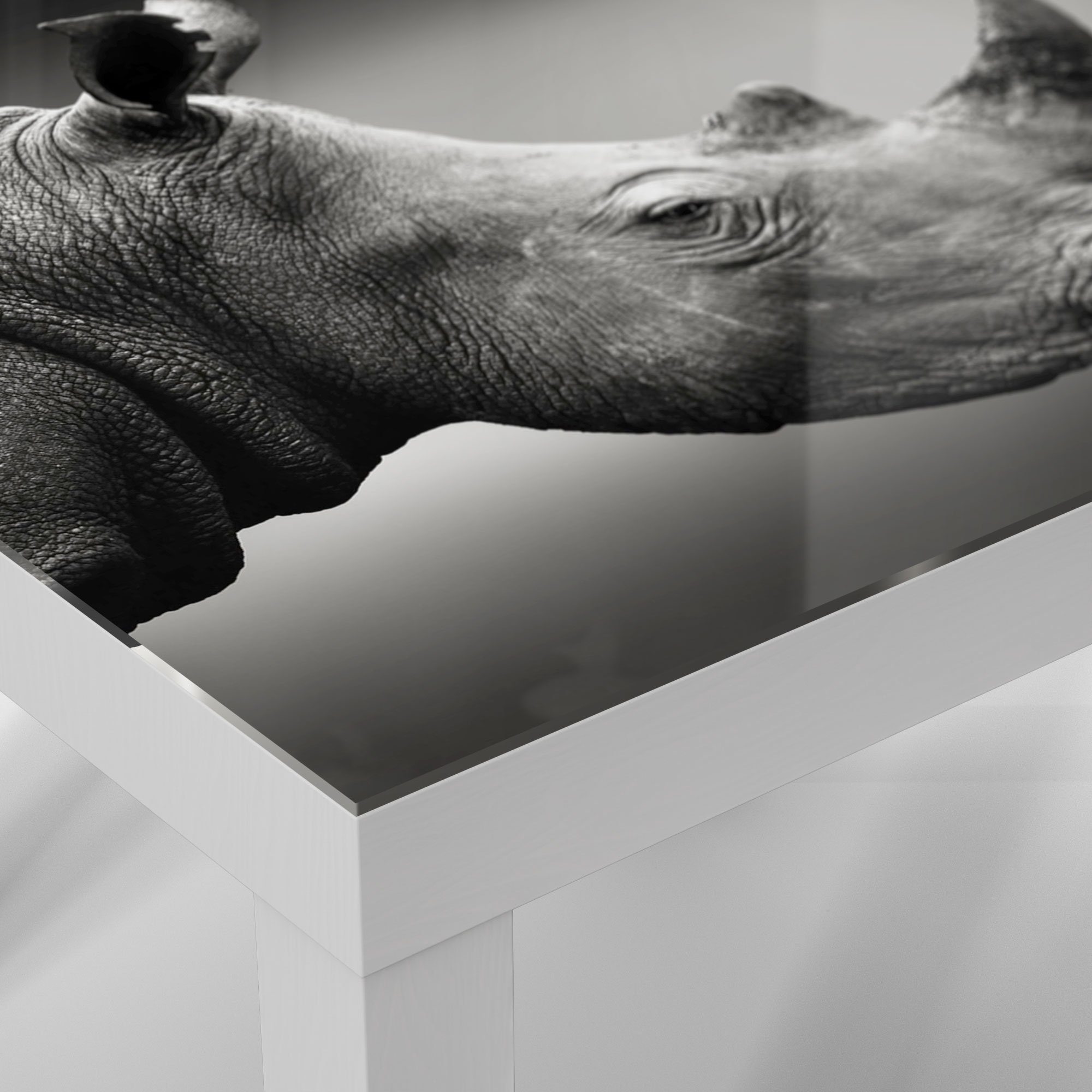 DEQORI Couchtisch 'Nashorn im Profil', modern Beistelltisch Weiß Glas Glastisch
