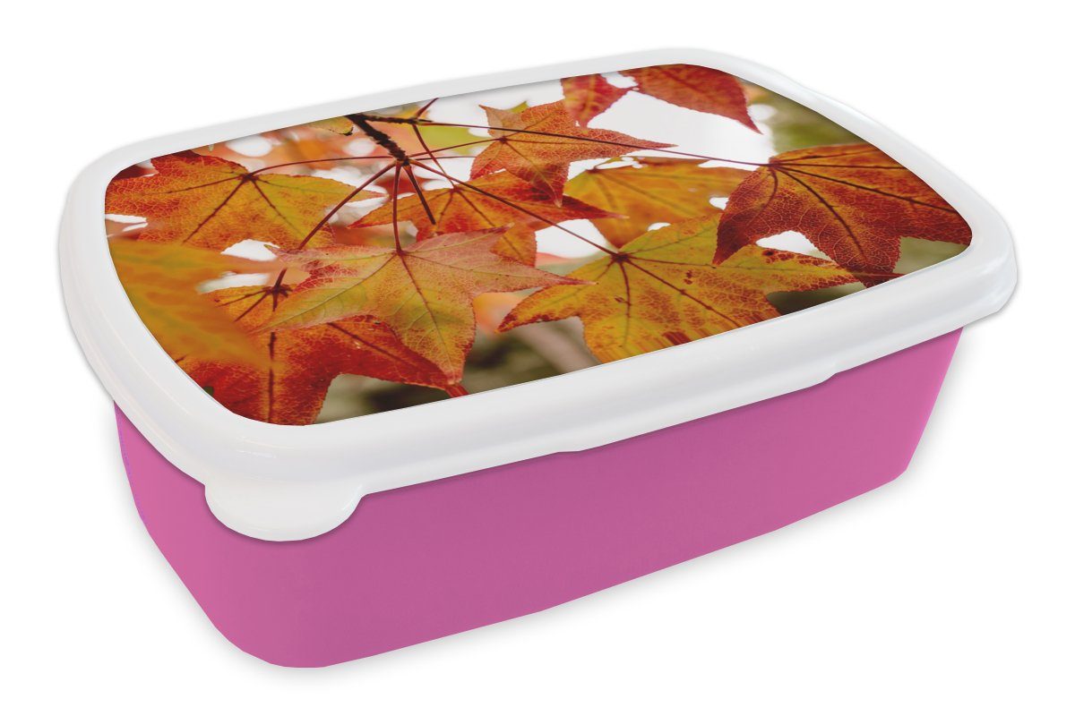 MuchoWow Lunchbox Herbstzweige - Blätter - Jahreszeiten - Landleben, Kunststoff, (2-tlg), Brotbox für Erwachsene, Brotdose Kinder, Snackbox, Mädchen, Kunststoff rosa
