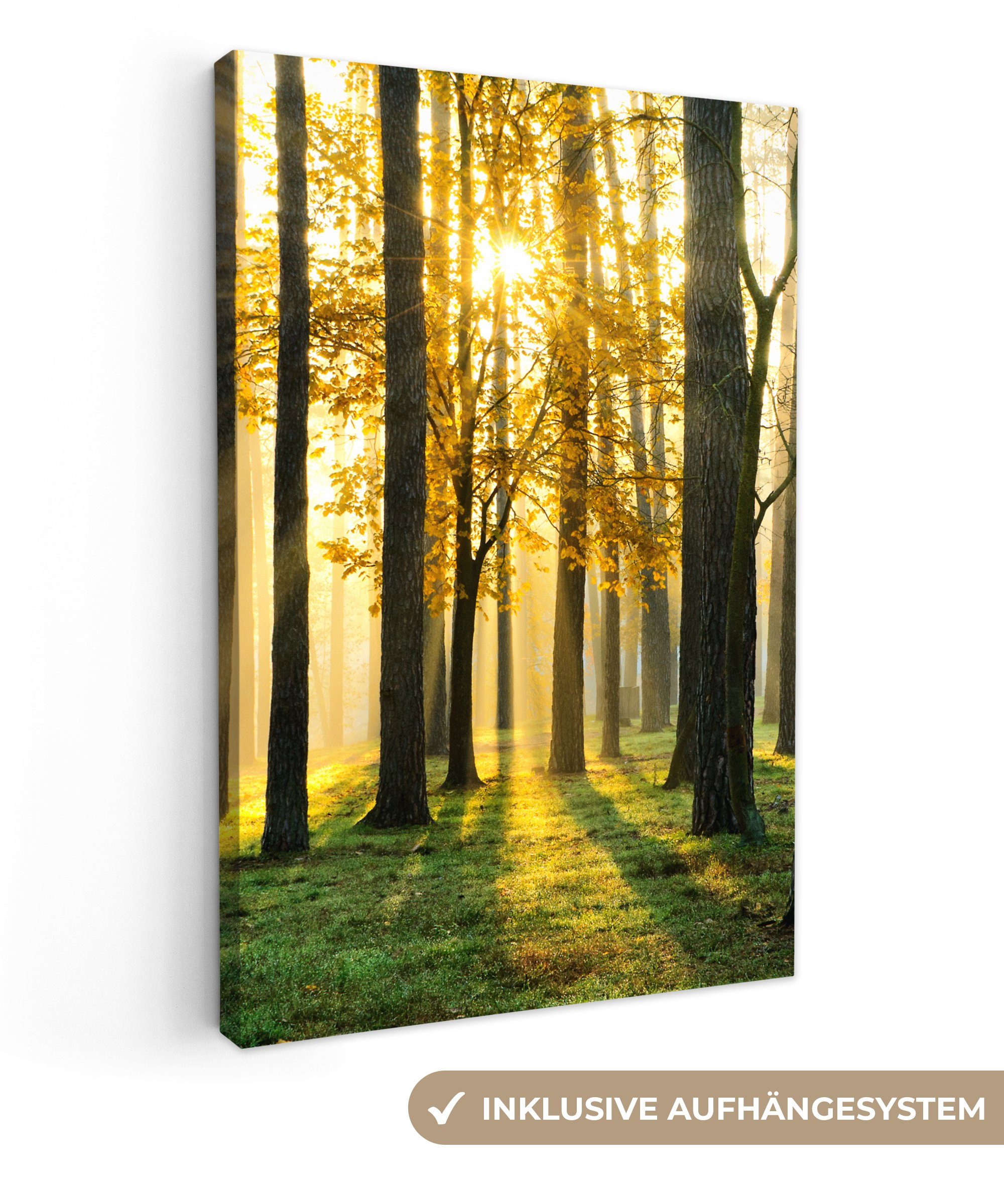 OneMillionCanvasses® Leinwandbild Wald - Sonne - günstig online kaufen