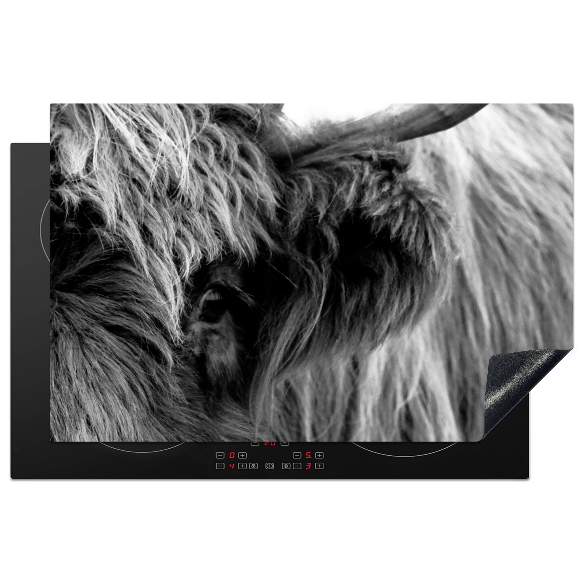 MuchoWow Herdblende-/Abdeckplatte Scottish Highlander - Auge - Schwarz - Weiß, Vinyl, (1 tlg), 81x52 cm, Induktionskochfeld Schutz für die küche, Ceranfeldabdeckung