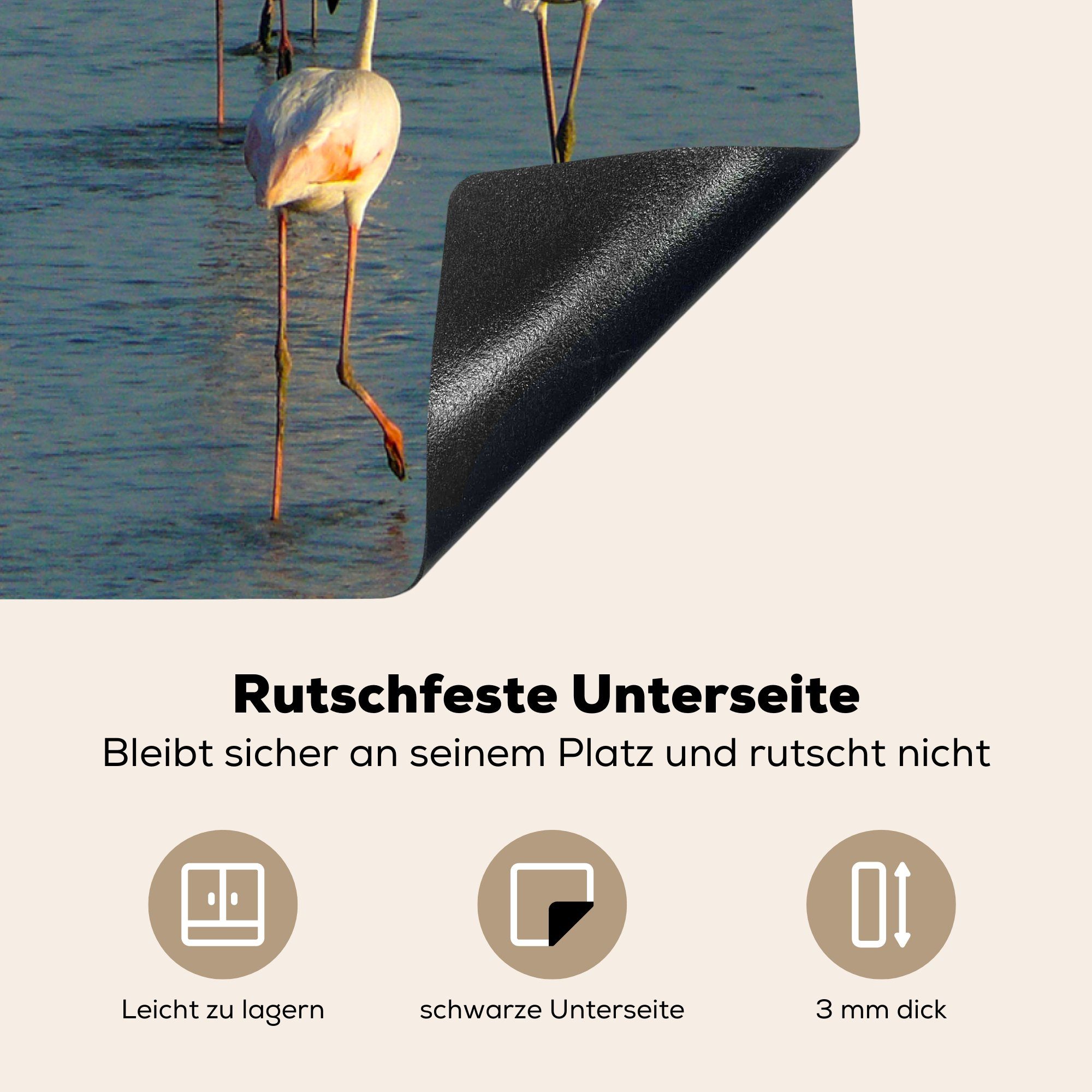 MuchoWow Herdblende-/Abdeckplatte Flamingos im (1 Ceranfeldabdeckung cm, für die Induktionskochfeld Doñana-Nationalpark in tlg), Schutz Vinyl, küche, 81x52 Spanien