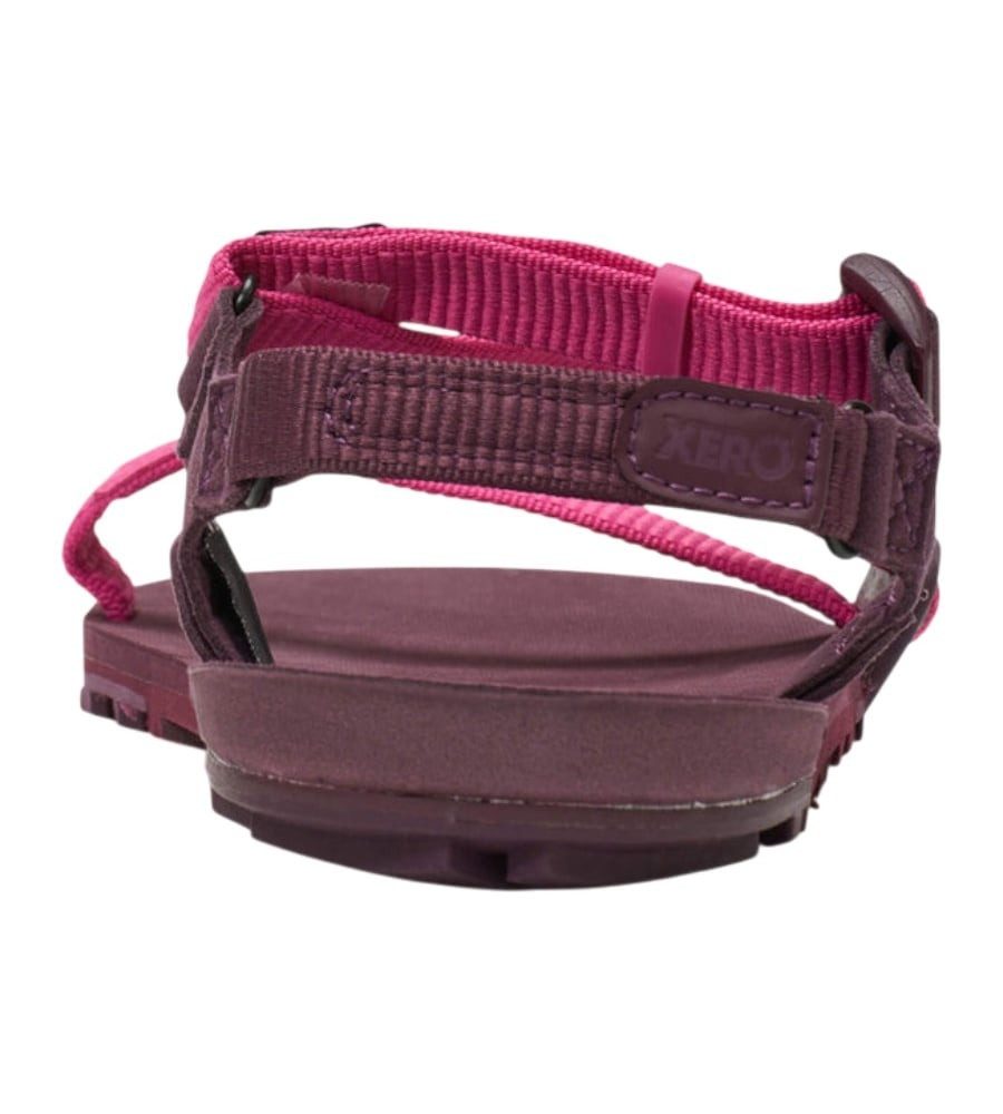 Xero Shoes Z-Trail EV fuchsia/purple Damen Sandale