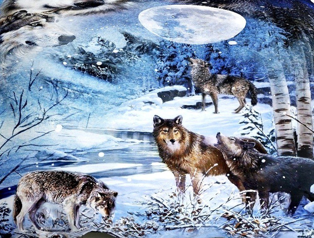 JACK Bettwäsche JACK by Kaeppel 135x200cm Wolf Wölfe Mond, Satin, 4 teilig, hochwertiger Digitaldruck mit einem eindrucksvollem Wolfmotiv