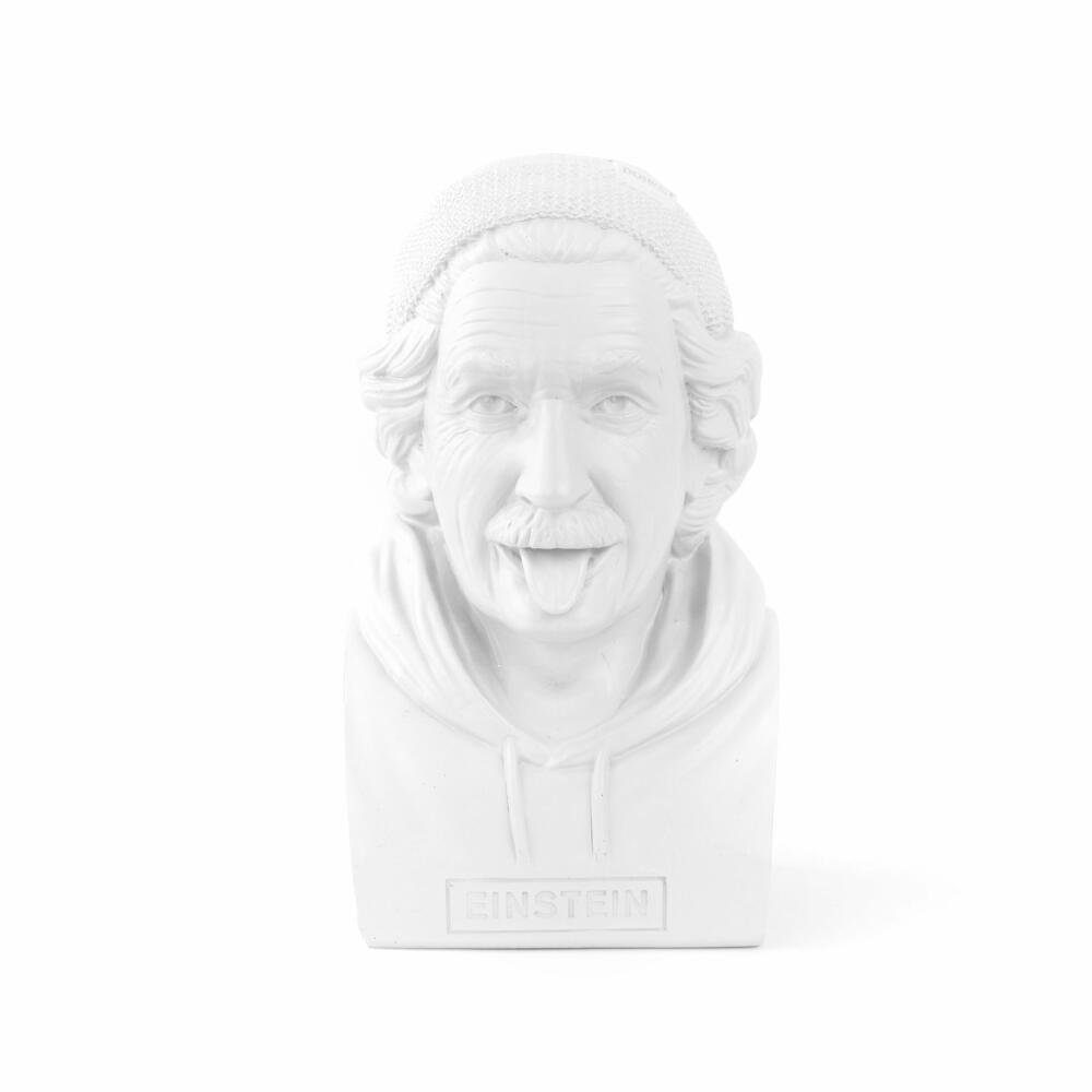 Donkey Products Spardose Historic Hipster Einstein