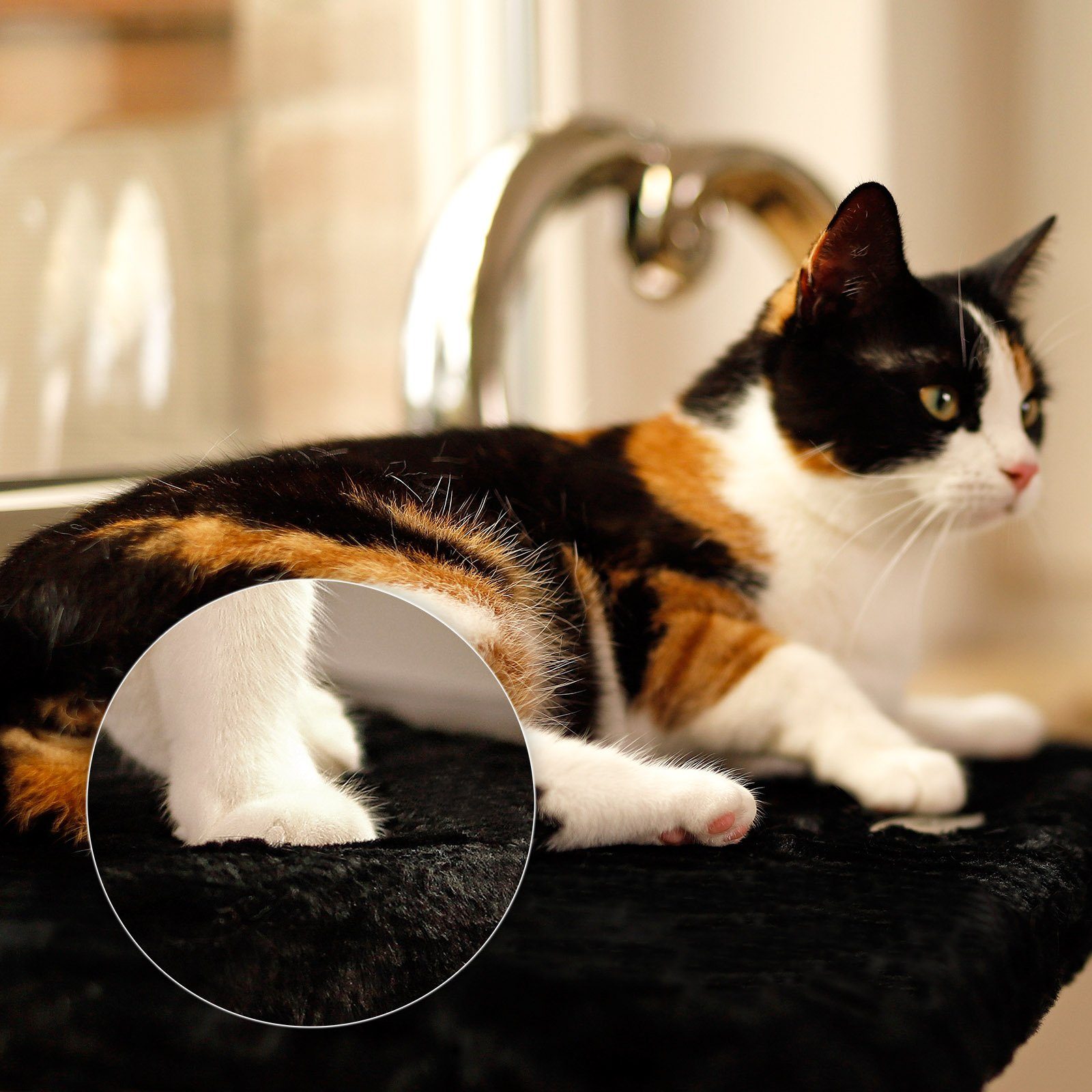 Thumbnail - lionto Futternapf Fensterbankliege für Katzen, versch. Farben, schwarz, abnehmbarer Bezug, waschbar